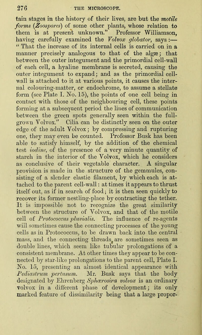 tain stages in the history of their lives, are but the motile forms (.Zoospores) of some other plants, whose relation to them is at present unknown.” Professor Williamson, having carefully examined the Volvox globator, says :— “ That the increase of its internal cells is carried on in a manner precisely analogous to that of the algie; that between the outer integument and the primordial cell-wall of each cell, a hyaline membrane is secreted, causing the outer integument to expand; and as the primordial cell- wall is attached to it at various points, it causes the inter- nal colouring-matter, or endochrome, to assume a stellate form (see Plate I. ISTo. 15), the points of one cell being in contact with those of the neighbouring cell, these points forming at a subsequent period the lines of communication between the green spots generally seen within the full- grown Yolvox.” Cilia can be distinctly seen on the outer edge of the adult Yolvox; by compressing and rupturing one, they may even be counted. Professor Busk has been able to satisfy himself, by the addition of the chemical test iodine, of the presence of a very minute quantity of starch in the interior of the Volvox, which he considers as conclusive of their vegetable character. A singular provision is made in the structure of the gemmules, con- sisting of a slender elastic filament, by which each is at- tached to the parent cell-wall: at times it appears to thrust itself out, as if in search of food; it is then seen quickly to recover its former nestling-place by contracting the tether. It is impossible not to recognize the great similarity between the structure of Volvox, and that of the motile cell of Protococcus pluvialis. The influence of re-agents will sometimes cause the connecting processes of the young cells as in Protococcus, to be drawn back into the central mass, and the connecting threads, are sometimes seen as double lines, which seem like tubular prolongations of a consistent membrane. At other times they appear to be con- nected by star-like prolongations to the parent cell, Plate I. Ho. 15, presenting an almost identical appearance with Pediastrum pertusum. Mr. Busk says that the body designated by Ehrenberg Sphoerosira, volvox is an ordinary volvox in a different phase of development; its only marked feature of dissimilarity being that a large propor-