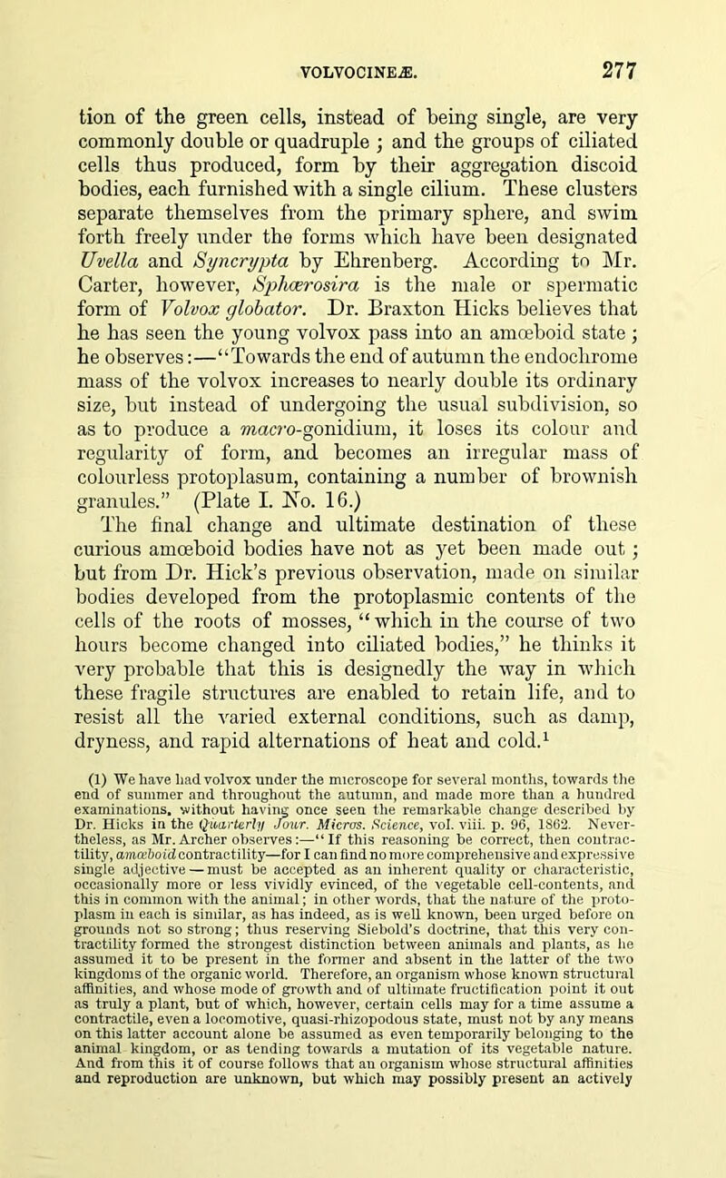 tion of the green cells, instead of being single, are very commonly double or quadruple ; and tbe groups of ciliated cells thus produced, form by their aggregation discoid bodies, each furnished with a single cilium. These clusters separate themselves from the primary sphere, and swim forth freely under the forms which have been designated Uvella and Syncrypta by Ehrenberg. According to Mr. Carter, however, Sphcerosira is the male or spermatic form of Volvox globator. Dr. Braxton Hicks believes that he has seen the young volvox pass into an amceboid state ; he observes:—“Towards the end of autumn the endochrome mass of the volvox increases to nearly double its ordinary size, but instead of undergoing the usual subdivision, so as to produce a macro-gonidium, it loses its colour and regularity of form, and becomes an irregular mass of colourless protoplasum, containing a number of brownish granules.” (Plate I. Ho. 16.) The final change and ultimate destination of these curious amoeboid bodies have not as yet been made out ; but from Dr. Hick’s previous observation, made on similar bodies developed from the protoplasmic contents of the cells of the roots of mosses, “which in the course of two hours become changed into ciliated bodies,” he thinks it very probable that this is designedly the way in which these fragile structures are enabled to retain life, and to resist all the varied external conditions, such as damp, dryness, and rapid alternations of heat and cold.1 (1) We have had volvox under the microscope for several months, towards t he end of summer and throughout the autumn, and made more than a hundred examinations, without having once seen the remarkable change- described by Dr. Hicks in the Quarterly Jour. Micros. Science, vol. viii. p. 96, 1862. Never- theless, as Mr. Archer observes:—“If this reasoning be correct, then contrac- tility, amoeboid contractility—for I can find no more comprehensive and expressive single adjective — must be accepted as an inherent quality or characteristic, occasionally more or less vividly evinced, of the vegetable cell-contents, and this in common with the animal; in other words, that the nature of the proto- plasm in each is similar, as has indeed, as is well known, been urged before on grounds not so strong; thus reserving Siebold’s doctrine, that this very con- tractility formed the strongest distinction between animals and plants, as he assumed it to be present in the former and absent in the latter of the two kingdoms of the organic world. Therefore, an organism whose known structural affinities, and whose mode of growth and of ultimate fructification point it out as truly a plant, but of which, however, certain cells may for a time assume a contractile, even a locomotive, quasi-rhizopodous state, must not by any means on this latter account alone be assumed as even temporarily belonging to the animal kingdom, or as tending towards a mutation of its vegetable nature. And from this it of course follows that an organism whose structural affinities and reproduction are unknown, but which may possibly present an actively