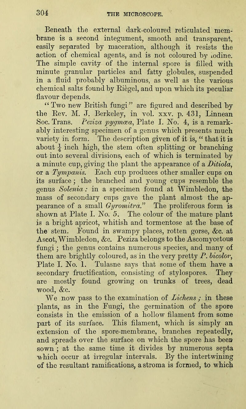 Beneath the external dark-coloured reticulated mem- brane is a second integument, smooth and transparent, easily separated by maceration, although it resists the action of chemical agents, and is not coloured by iodine. The simple cavity of the internal spore is filled rvith minute granular particles and fatty globules, suspended in a fluid probably albuminous, as well as the various chemical salts found by Riegel, and upon which its peculiar flavour depends. “ Two new British fungi” are figured and described by the Rev. M. J. Berkeley, in vol. xxv. p. 431, Linnean Soc. Trans. Peziza pygmoea, Plate I. No. 4, is a remark- ably interesting specimen of a genus which presents much variety in form. The description given of it is, “ that it is about \ inch high, the stem often splitting or branching out into several divisions, each of which is terminated by a minute cup, giving the plant the appearance of a Ditiola, or a Tympanis. Each cup produces other smaller cups on its surface; the branched and young cups resemble the genus Solenia: in a specimen found at Wimbledon, the mass of secondary cups gave the plant almost the ap- pearance of a small Gyromitra.” The proliferous form is shown at Plate I. ISTo. 5. The colour of the mature plant is a bright apricot, whitish and tormentose at the base of the stem. Pound in swampy places, rotten gorse, &c. at Ascot, Wimbledon, &c. Peziza belongs to the Ascomycetous fungi; the genus contains numerous species, and many of them are brightly coloured, as in the very pretty P. bicolor, Plate I. No. 1. Tulasne says that some of them have a secondary fructification, consisting of stylospores. They are mostly found growing on trunks of trees, dead wood, &c. We now pass to the examination of Lichens ; in these plants, as in the Fungi, the germination of the spore consists in the emission of a hollow filament from some part of its surface. This filament, which is simply an extension of the spore-membrane, branches repeatedly, and spreads over the surface on which the spore has been sown ; at the same time it divides by numerous septa which occur at irregular intervals. By the intertwining of the resultant ramifications, a stroma is formed, to which