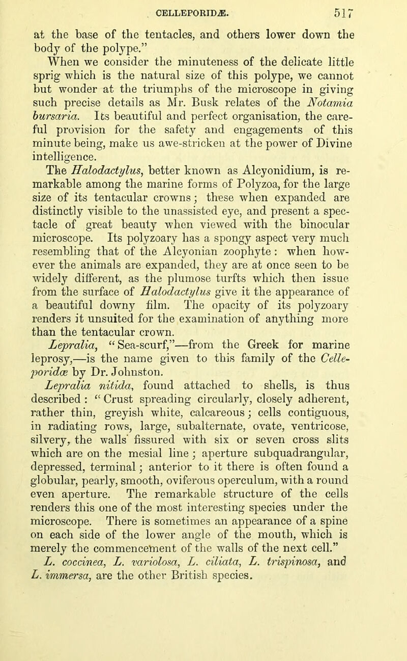 CELLEPORID.E. 51“ at the base of the tentacles, and others lower down the body of the polype.” When we consider the minuteness of the delicate little sprig which is the natural size of this polype, we cannot but wonder at the triumphs of the microscope in giving such precise details as Mr. Busk relates of the Notamia bursaria. Its beautiful and perfect organisation, the care- ful provision for the safety and engagements of this minute being, make us awe-stricken at the power of Divine intelligence. The Halodactylus, better known as Alcyonidium, is re- markable among the marine forms of Polyzoa, for the large size of its tentacular crowns; these when expanded are distinctly visible to the unassisted eye, and present a spec- tacle of great beauty when viewed with the binocular microscope. Its polyzoary has a spongy aspect very much resembling that of the Alcyonian zoophyte: when how- ever the animals are expanded, they are at once seen to be widely different, as the plumose turfts which then issue from the surface of Halodactylus give it the appearance of a beautiful downy film. The opacity of its polyzoary renders it unsuited for the examination of anything more than the tentacular crown. Lepralia, “ Sea-scurf,”—from the Greek for marine leprosy,—is the name given to this family of the Celle- poridae by Dr. Johnston. Lepralia nitida, found attached to shells, is thus described : “ Crust spreading circularly, closely adherent, rather thin, greyish white, calcareous; cells contiguous, in radiating rows, large, subalternate, ovate, ventricose, silvery, the walls' fissured with six or seven cross slits which are on the mesial line ; aperture subquadrangular, depressed, terminal; anterior to it there is often found a globular, pearly, smooth, oviferous operculum, with a round even aperture. The remarkable structure of the cells renders this one of the most interesting species under the microscope. There is sometimes an appearance of a spine on each side of the lower angle of the mouth, which is merely the commencement of the walls of the next cell.” L. coccinea, L. variolosa, L. ciliata, L. trispinosa, and L. immersa, are the other British species.