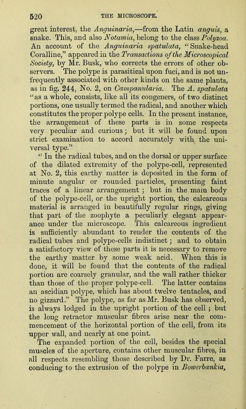 great interest, the Anguinaria,—from the Latin anguis, a snake. This, and also Notamia, belong to the class Polyzoa. An account of the Anguinaria spatulata, “ Snake-head Coralline,” appeared in the Transactions of the Microscopical Society, by Mr. Busk, who corrects the errors of other ob- servers. The polype is parasitical upon fuci, and is not un- frequently associated with other kinds on the same plants, as in fig. 244, No. 2, on Gampanularia. The A. spatulata “as a whole, consists, like all its congeners, of two distinct portions, one usually termed the radical, and another which constitutes the proper polype cells. In the present instance, the arrangement of these parts is in some respects very peculiar and curious; but it will be found upon strict examination to accord accurately with the uni- versal type.” “ In the radical tubes, and on the dorsal or upper surface of the dilated extremity of the polype-cell, represented at No. 2, this earthy matter is deposited in the form of minute angular or rounded particles, presenting faint traces of a linear arrangement ; but in the main body of the polype-cell, or the upright portion, the calcareous material is arranged in beautifully regular rings, giving that part of the zoophyte a peculiarly elegant appear- ance under the microscope. This calcareous ingredient is sufficiently abundant to render the contents of the radical tubes and polype-cells indistinct; and to obtain a satisfactory view of these parts it is necessary to remove the earthy matter by some weak acid. When this is done, it will be found that the contents of the radical portion are coarsely granular, and the wall rather thicker than those of the proper polype-cell. The latter contains an ascidian polype, which has about twelve tentacles, and no gizzard.” The polype, as far as Mr. Busk has observed, is always lodged in the upright portion of the cell ; but the long retractor muscular fibres arise near the com- mencement of the horizontal portion of the cell, from its upper wall, and nearly at one point. The expanded portion of the cell, besides the special muscles of the aperture, contains other muscular fibres, in all respects resembling those described by Dr. Farre, as conducing to the extrusion of the polype in Bowerbankia,