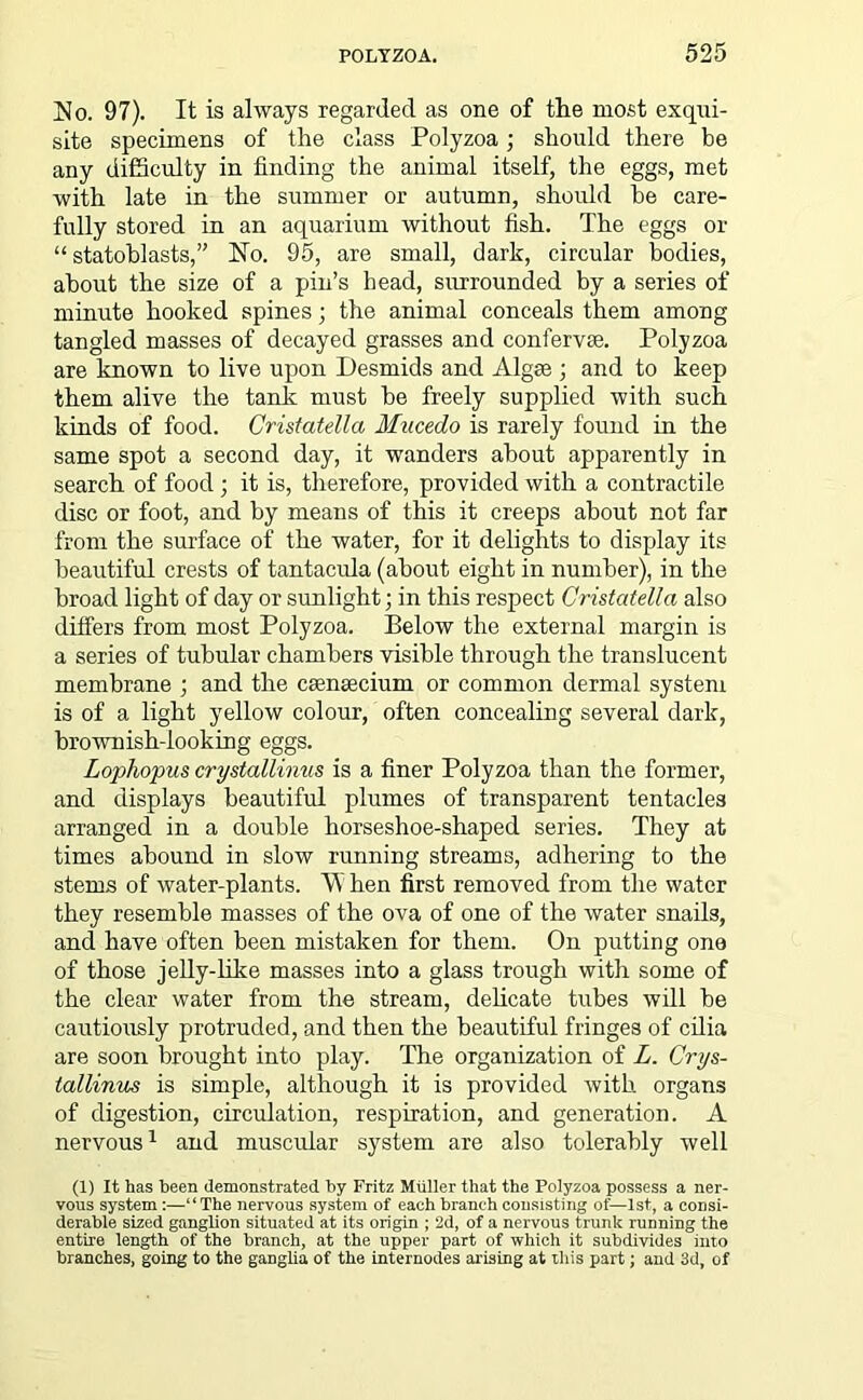 No. 97). It is always regarded as one of the most exqui- site specimens of the class Polyzoa; should there be any difficulty in finding the animal itself, the eggs, met with late in the summer or autumn, should be care- fully stored in an aquarium without fish. The eggs or “ statoblasts,” No. 95, are small, dark, circular bodies, about the size of a pin’s bead, surrounded by a series of minute hooked spines; the animal conceals them among tangled masses of decayed grasses and confervse. Polyzoa are known to live upon Desmids and Algae ; and to keep them alive the tank must be freely supplied with such kinds of food. Cristatella Mucedo is rarely found in the same spot a second day, it wanders about apparently in search of food ; it is, therefore, provided with a contractile disc or foot, and by means of this it creeps about not far from the surface of the water, for it delights to display its beautiful crests of tantacula (about eight in number), in the broad light of day or sunlight; in this respect Cristatella also differs from most Polyzoa. Below the external margin is a series of tubular chambers visible through the translucent membrane ; and the csensecium or common dermal system is of a light yellow colour, often concealing several dark, brownish-looking eggs. Lophopus crystallinus is a finer Polyzoa than the former, and displays beautiful plumes of transparent tentacles arranged in a double horseshoe-shaped series. They at times abound in slow running streams, adhering to the stems of water-plants. TV hen first removed from the water they resemble masses of the ova of one of the water snails, and have often been mistaken for them. On putting one of those jelly-like masses into a glass trough with some of the clear water from the stream, delicate tubes will be cautiously protruded, and then the beautiful fringes of cilia are soon brought into play. The organization of L. Crys- tallinus is simple, although it is provided with organs of digestion, circulation, respiration, and generation. A nervous1 and muscular system are also tolerably well (1) It has been demonstrated by Fritz Muller that the Polyzoa possess a ner- vous system :—“The nervous system of each branch consisting of—1st, a consi- derable sized ganglion situated at its origin ; 2d, of a nervous trunk running the entire length of the branch, at the upper part of which it subdivides into branches, going to the ganglia of the internodes arising at this part; and 3d, of