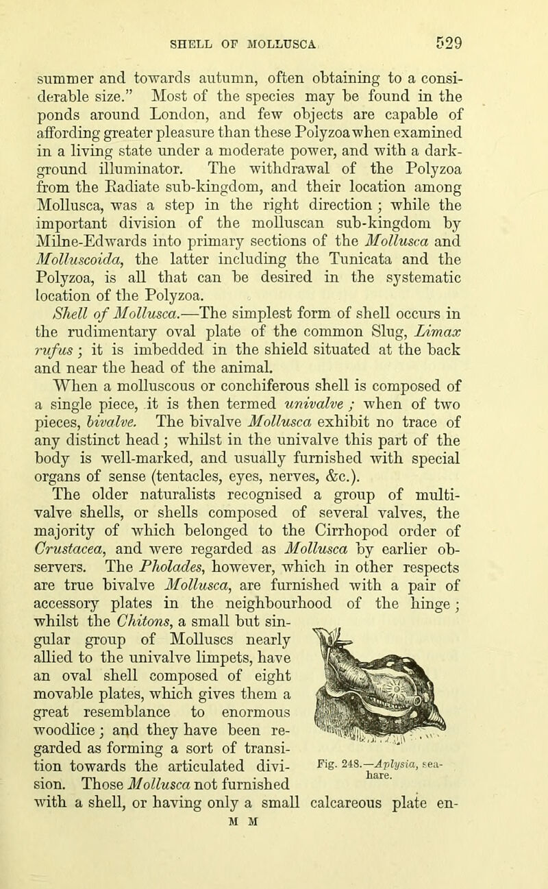 summer and towards autumn, often obtaining to a consi- derable size.” Most of the species may be found in the ponds around London, and few objects are capable of affording greater pleasure than these Poiyzoa when examined in a living state under a moderate power, and with a dark- ground illuminator. The withdrawal of the Poiyzoa from the Eadiate sub-kingdom, and their location among Mollusca, was a step in the right direction ; while the important division of the molluscan sub-kingdom by Milne-Edwards into primary sections of the Mollusca and Molluscoida, the latter including the Tunicata and the Poiyzoa, is all that can be desired in the systematic location of the Poiyzoa. Shell of Mollusca.—The simplest form of shell occurs in the rudimentary oval plate of the common Slug, Limax rufus ; it is imbedded in the shield situated at the back and near the head of the animal. When a molluscous or conchiferous shell is composed of a single piece, it is then termed univalve ; when of two pieces, bivalve. The bivalve Mollusca exhibit no trace of any distinct head; whilst in the univalve this part of the body is well-marked, and usually furnished with special organs of sense (tentacles, eyes, nerves, &c.). The older naturalists recognised a group of multi- valve shells, or shells composed of several valves, the majority of which belonged to the Cirrhopod order of Crustacea, and were regarded as Mollusca by earlier ob- servers. The Pholades, however, which in other respects are true bivalve Mollusca, are furnished with a pair of accessory plates in the neighbourhood of the hinge; whilst the Chitons, a small but sin- gular group of Molluscs nearly allied to the univalve limpets, have an oval shell composed of eight movable plates, which gives them a great resemblance to enormous woodlice; and they have been re- garded as forming a sort of transi- tion towards the articulated divi- sion. Those Mollusca not furnished with a shell, or having only a small calcareous plate en- M M Fig. 248.—Aplysia, sea- hare.