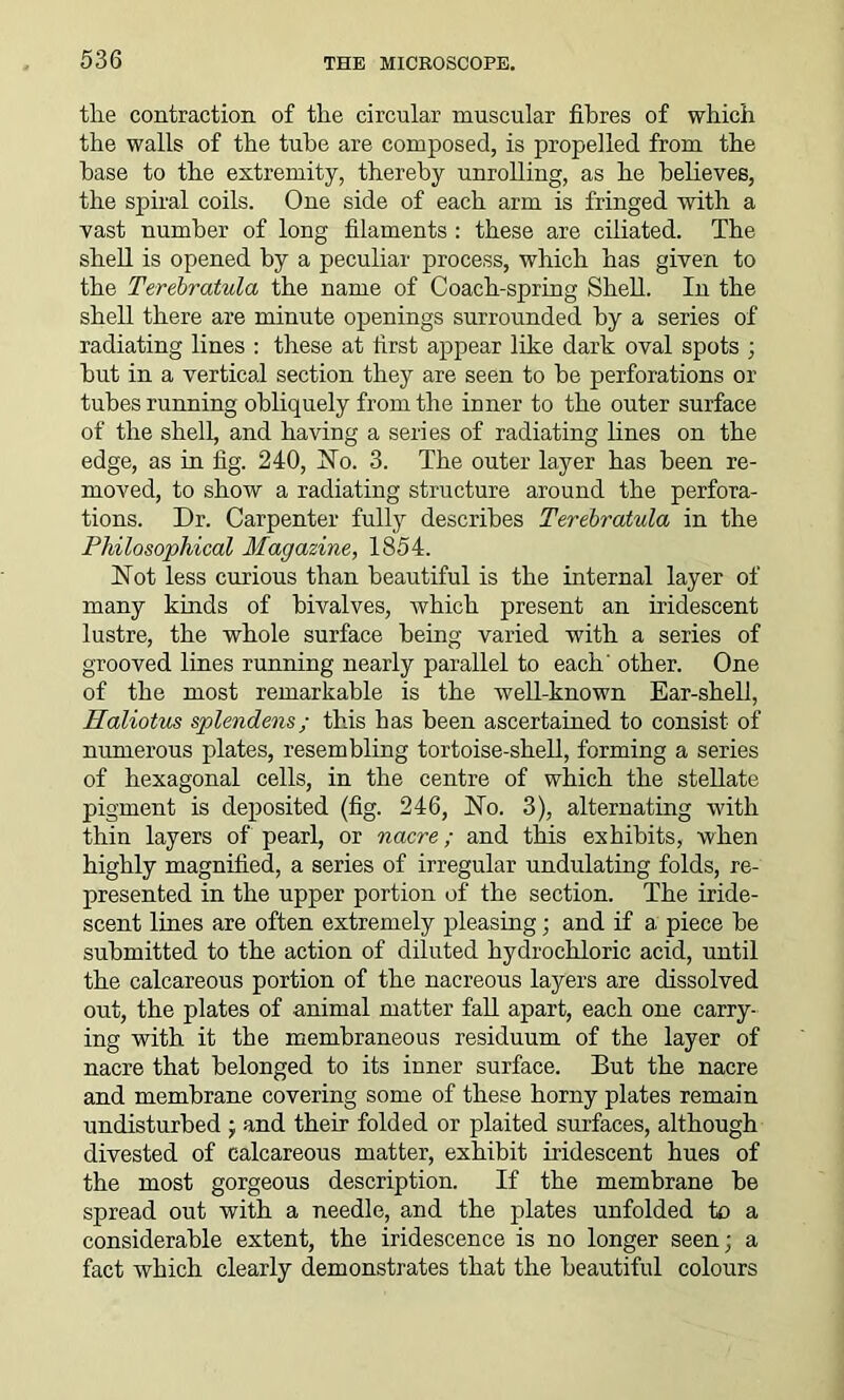 the contraction of the circular muscular fibres of which the walls of the tube are composed, is propelled from the base to the extremity, thereby unrolling, as he believes, the spiral coils. One side of each arm is fringed with a vast number of long filaments : these are ciliated. The shell is opened by a peculiar process, which has given to the Terebratula the name of Coach-spring Shell. In the shell there are minute openings surrounded by a series of radiating lines : these at first appear like dark oval spots ; hut in a vertical section they are seen to be perforations or tubes running obliquely from the inner to the outer surface of the shell, and having a series of radiating lines on the edge, as in fig. 240, Ho. 3. The outer layer has been re- moved, to show a radiating structure around the perfora- tions. Dr. Carpenter fully describes Terebratula in the Philosophical Magazine, 1854. Hot less curious than beautiful is the internal layer of many kinds of bivalves, which present an iridescent lustre, the whole surface being varied with a series of grooved lines running nearly parallel to each' other. One of the most remarkable is the well-known Ear-shell, Haliotus splendens; this has been ascertained to consist of numerous plates, resembling tortoise-shell, forming a series of hexagonal cells, in the centre of which the stellate pigment is deposited (fig. 246, Ho. 3), alternating with thin layers of pearl, or nacre; and this exhibits, when highly magnified, a series of irregular undulating folds, re- presented in the upper portion of the section. The iride- scent lines are often extremely pleasing; and if a piece be submitted to the action of diluted hydrochloric acid, until the calcareous portion of the nacreous layers are dissolved out, the plates of animal matter fall apart, each one carry- ing with it the membraneous residuum of the layer of nacre that belonged to its inner surface. But the nacre and membrane covering some of these horny plates remain undisturbed • and their folded or plaited surfaces, although divested of calcareous matter, exhibit iridescent hues of the most gorgeous description. If the membrane be spread out with a needle, and the plates unfolded to a considerable extent, the iridescence is no longer seen; a fact which clearly demonstrates that the beautiful colours
