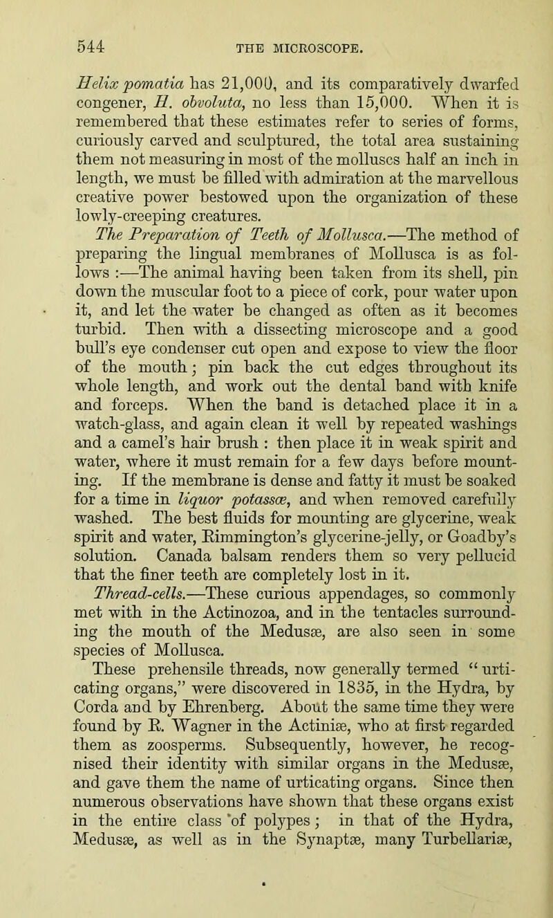 Helix pomatia has 21,000, and its comparatively dwarfed congener, H. obvoluta, no less than 15,000. When it is remembered that these estimates refer to series of forms, curiously carved and sculptured, the total area sustaining them not measuring in most of the molluscs half an inch in length, we must be filled with admiration at the marvellous creative power bestowed upon the organization of these lowly-creeping creatures. The Preparation of Teeth of Mollusca.—The method of preparing the lingual membranes of Mollusca is as fol- lows :—The animal having been taken from its shell, pin down the muscular foot to a piece of cork, pour water upon it, and let the water be changed as often as it becomes turbid. Then with a dissecting microscope and a good bull’s eye condenser cut open and expose to view the floor of the mouth; pin back the cut edges throughout its whole length, and work out the dental band with knife and forceps. When the band is detached place it in a watch-glass, and again clean it well by repeated washings and a camel’s hair brush : then place it in weak spirit and water, where it must remain for a few days before mount- ing. If the membrane is dense and fatty it must be soaked for a time in liquor potasses, and when removed carefully washed. The best fluids for mounting are glycerine, weak spirit and water, Rimmington’s glycerine-jelly, or Goadby’s solution. Canada balsam renders them so very pellucid that the finer teeth are completely lost in it. Thread-cells.—These curious appendages, so commonly met with in the Actinozoa, and in the tentacles surround- ing the mouth of the Medusae, are also seen in some species of Mollusca. These prehensile threads, now generally termed “ urti- cating organs,” were discovered in 1835, in the Hydra, by Corda and by Ehrenberg. About the same time they were found by R. Wagner in the Actiniae, who at first regarded them as zoosperms. Subsequently, however, he recog- nised their identity with similar organs in the Medusae, and gave them the name of urticating organs. Since then numerous observations have shown that these organs exist in the entire class 'of polypes ; in that of the Hydra, Medusae, as well as in the Synaptae, many Turbellariae,