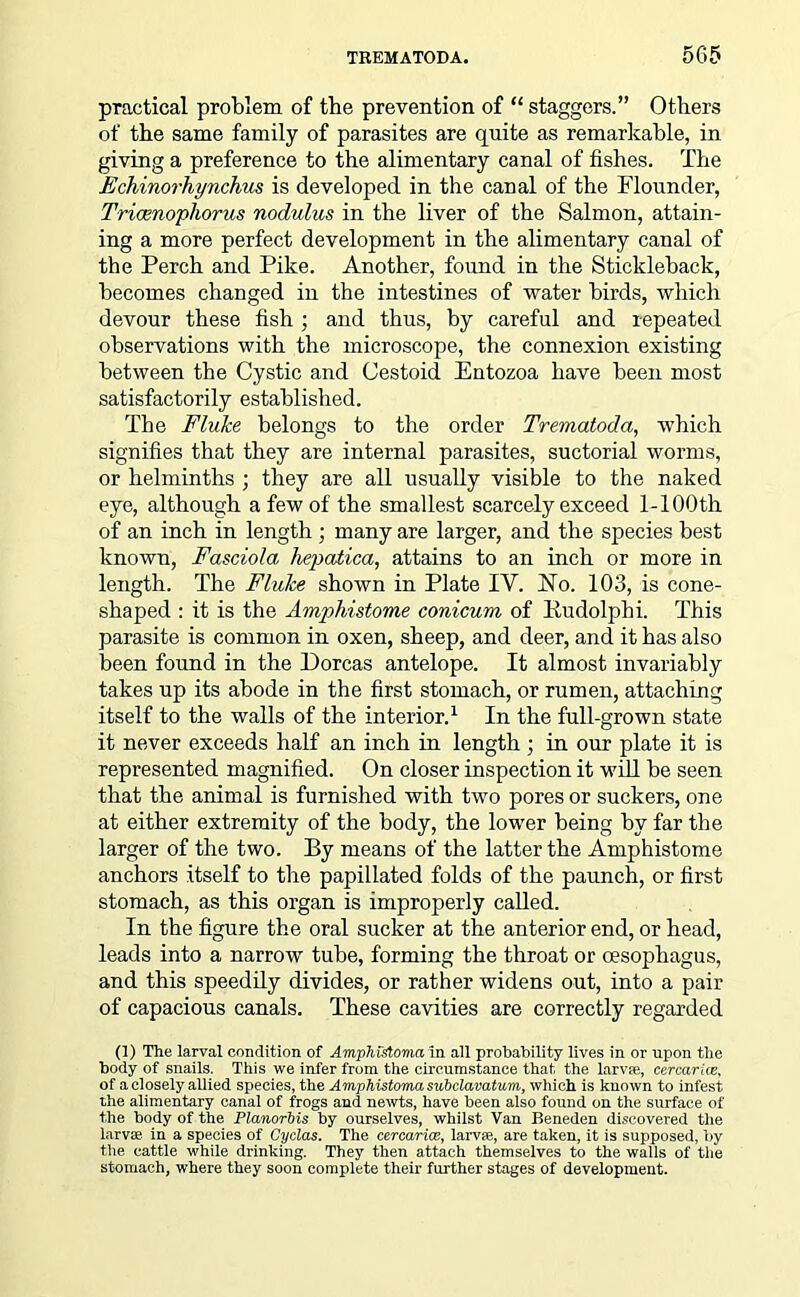 practical problem of tbe prevention of “ staggers.” Others of tbe same family of parasites are quite as remarkable, in giving a preference to the alimentary canal of fishes. The Echinorhynchm is developed in the canal of the Flounder, Trieenophorus nodulus in the liver of the Salmon, attain- ing a more perfect development in the alimentary canal of the Perch and Pike. Another, found in the Stickleback, becomes changed in the intestines of water birds, which devour these fish ; and thus, by careful and repeated observations with the microscope, the connexion existing between the Cystic and Cestoid Entozoa have been most satisfactorily established. The Fluke belongs to the order Trematoda, which signifies that they are internal parasites, suctorial worms, or helminths ; they are all usually visible to the naked eye, although a few of the smallest scarcely exceed l-100th of an inch in length ; many are larger, and the species best known, Fasciola hepaiica, attains to an inch or more in length. The Fluke shown in Plate IY. No. 103, is cone- shaped : it is the Amphistome conicum of liudolphi. This parasite is common in oxen, sheep, and deer, and it has also been found in the Dorcas antelope. It almost invariably takes up its abode in the first stomach, or rumen, attaching itself to the walls of the interior.1 In the full-grown state it never exceeds half an inch in length ; in our plate it is represented magnified. On closer inspection it will be seen that the animal is furnished with two pores or suckers, one at either extremity of the body, the lower being by far the larger of the two. By means of the latter the Amphistome anchors itself to the papillated folds of the paunch, or first stomach, as this organ is improperly called. In the figure the oral sucker at the anterior end, or head, leads into a narrow tube, forming the throat or oesophagus, and this speedily divides, or rather widens out, into a pair of capacious canals. These cavities are correctly regarded (1) The larval condition of Ampfiistoma in all probability lives in or upon the body of snails. This we infer from the circumstance that the larvae, cercarice, of a closely allied species, the Amphistorrux sxibclavatum, which is known to infest the alimentary canal of frogs and newts, have been also found on the surface of the body of the Planorbis by ourselves, whilst Van Beneden discovered the larvae in a species of Cyclas. The cercarice, larvae, are taken, it is supposed, by the cattle while drinking. They then attach themselves to the walls of the stomach, where they soon complete their further stages of development.