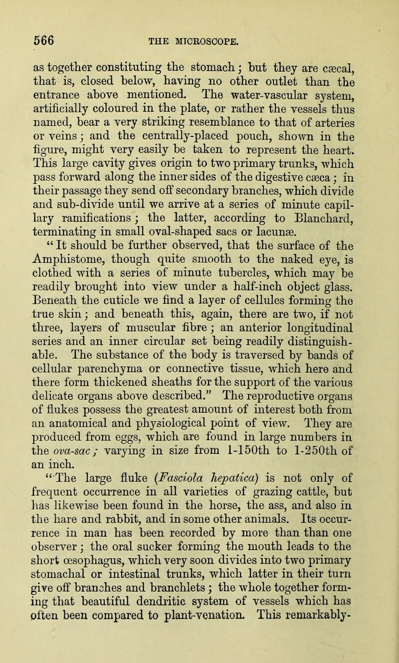 as together constituting the stomach; but they are csecal, that is, closed below, having no other outlet than the entrance above mentioned. The water-vascular system, artificially coloured in the plate, or rather the vessels thus named, bear a very striking resemblance to that of arteries or veins; and the centrally-placed pouch, shown in the figure, might very easily be taken to represent the heart. This large cavity gives origin to two primary trunks, which pass forward along the inner sides of the digestive caeca; in their passage they send off secondary branches, which divide and sub-divide until we arrive at a series of minute capil- lary ramifications; the latter, according to Blanchard, terminating in small oval-shaped sacs or lacume. “ It should be further observed, that the surface of the Amphistome, though quite smooth to the naked eye, is clothed with a series of minute tubercles, which may be readily brought into view under a half-inch object glass. Beneath the cuticle we find a layer of cellules forming the true skin; and beneath this, again, there are two, if not three, layers of muscular fibre; an anterior longitudinal series and an inner circular set being readily distinguish- able. The substance of the body is traversed by bands of cellular parenchyma or connective tissue, which here and there form thickened sheaths for the support of the various delicate organs above described.” The reproductive organs of flukes possess the greatest amount of interest both from an anatomical and physiological point of view. They are produced from eggs, which are found in large numbers in the ova-sac; varying in size from l-150th to l-250th of an inch. “ The large fluke (Fasciola hepaticci) is not only of frequent occurrence in all varieties of grazing cattle, but lias likewise been found in the horse, the ass, and also in the hare and rabbit, and in some other animals. Its occur- rence in man has been recorded by more than than one observer; the oral sucker forming the mouth leads to the short oesophagus, which very soon divides into two primary stomachal or intestinal trunks, which latter in their turn give off branches and branchlets; the whole together form- ing that beautiful dendritic system of vessels which has often been compared to plant-venatiom This remarkably-
