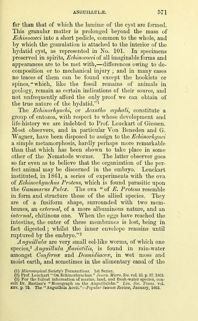 far than that of which the laminte of the cyst are formed. This granular matter is prolonged beyond the mass of Echinococci into a short pedicle, common to the whole, and by which the granulation is attached to the interior of the hydatid cyst, as represented in No. 101. In specimens preserved in spirits, Echinococci of all imaginable forms and appearances are to be met with,—differences owing to de- composition or to mechanical injury; and in many cases no traces of them can be found except the hooklets or spines,which, like the fossil remains of animals in geology, remain as certain indications of their source, and not unfrequently afford the only proof we can obtain of the true nature of the hydatid.”1 The Echinorhynclii, or Accintho cephali, constitute a group of entozoa, with respect to whose development and life-history we are indebted to Prof. Leuckart of Giessen. Most observers, and in particular Yon Beneden and G. Wagner, have been disposed to assign to the Echinorhynci a simple metamorphosis, hardly perhaps more remarkable than that which has been shown to take place in some other of the Nematode worms. The latter observer goes so far even as to believe that the organization of the per- fect animal may be discerned in the embryo. Leuckart instituted, in 1861, a series of experiments with the ova of Echinorhynchus Proteus, which is found parasitic upon the Gammarus Pulex. The ova “ of E. Proteus resemble in form and structure those of the allied species. They are of a fusiform shape, surrounded with two mem- branes, an external, of a more albuminous nature, and an internal, chitinous one. When the eggs have reached the intestine, the outer of these membranes is lost, being in fact digested; wdiilst the inner envelope remains until ruptured by the embryo.”2 Anguillulce are very small eel-like worms, of which one species,3 Anguillula fluviatilis, is found in raiu-water amongst Confervas and Desmidiacece, in wet moss and moist earth, and sometimes in the alimentary canal of the (1) Microscopical Society’s Transactions. 1st Series. (2) Prof. Leuckart “ On Echinorhynchus.” Journ. Micro. Soc. vol. iii. p. 57.1863. (3) For the fullest information of marine, land, and fresh-water species, con- sult Dr. Bastian’s “Monograph on the Anguillulidre.” Lin. Soc. Trans, vol. xxv. p. 75. The “Anguillula Aceti.”—Popular Seience Review, January, 1863.