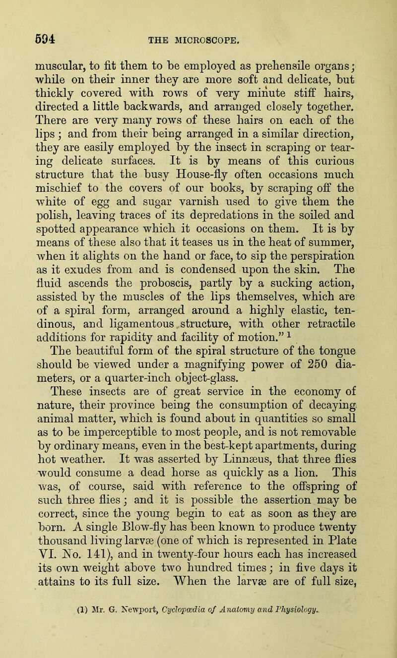 muscular, to fit them to be employed as prehensile organs; while on their inner they are more soft and delicate, hut thickly covered with rows of very minute stiff hairs, directed a little backwards, and arranged closely together. There are very many rows of these hairs on each of the lips ; and from their being arranged in a similar direction, they are easily employed by the insect in scraping or tear- ing delicate surfaces. It is by means of this curious structure that the busy House-fly often occasions much mischief to the covers of our books, by scraping off the white of egg and sugar varnish used to give them the polish, leaving traces of its depredations in the soiled and spotted appearance which it occasions on them. It is by means of these also that it teases us in the heat of summer, when it alights on the hand or face, to sip the perspiration as it exudes from and is condensed upon the skin. The fluid ascends the proboscis, partly by a sucking action, assisted by the muscles of the lips themselves, which are of a spiral form, arranged around a highly elastic, ten- dinous, and ligamentous structure, with other retractile additions for rapidity and facility of motion.” 1 The beautiful form of the spiral structure of the tongue should be viewed under a magnifying power of 250 dia- meters, or a quarter-inch object-glass. These insects are of great service in the economy of nature, their province being the consumption of decaying animal matter, which is found about in quantities so small as to be imperceptible to most people, and is not removable by ordinary means, even in the best-kept apartments, during hot weather. It was asserted by Linnaeus, that three flies would consume a dead horse as quickly as a lion. This was, of course, said with reference to the offspring of such three flies; and it is possible the assertion may be correct, since the young begin to eat as soon as they are born. A single Blow-fly has been known to produce twenty thousand living larvae (one of which is represented in Plate VI. IS! o. 141), and in twenty-four hours each has increased its own weight above two hundred times; in five days it attains to its full size. When the larvae are of full size, (1) Mr. G. Newport, Cyclopcedia of Anatomy and Physiology.