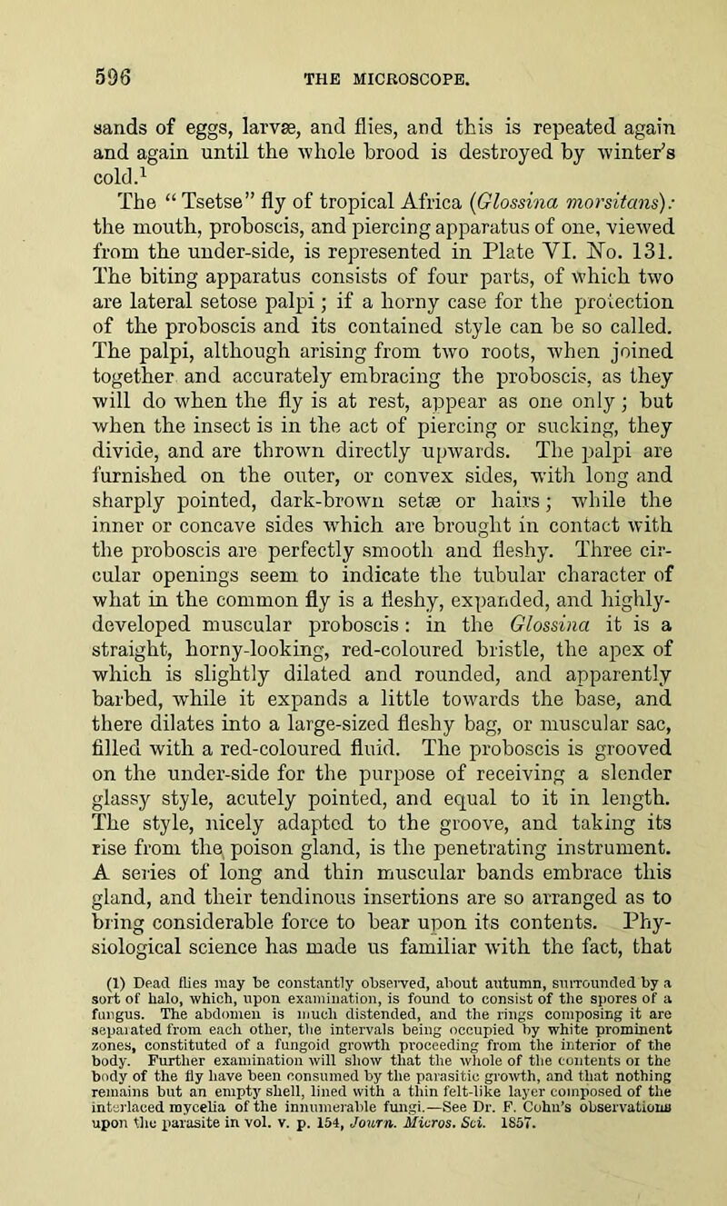 sands of eggs, larvse, and flies, and this is repeated again and again until the whole brood is destroyed by winter’s cold.1 The “ Tsetse” fly of tropical Africa (Glossina morsitans): the mouth, proboscis, and piercing apparatus of one, viewed from the under-side, is represented in Plate VI. Ho. 131. The biting apparatus consists of four parts, of which two are lateral setose palpi; if a horny case for the protection of the proboscis and its contained style can be so called. The palpi, although arising from two roots, when joined together and accurately embracing the proboscis, as they will do when the fly is at rest, appear as one only; but when the insect is in the act of piercing or sucking, they divide, and are thrown directly upwards. The palpi are furnished on the outer, or convex sides, with long and sharply pointed, dark-brown setae or hairs; while the inner or concave sides which are brought in contact with the proboscis are perfectly smooth and fleshy. Three cir- cular openings seem to indicate the tubular character of what in the common fly is a fleshy, expanded, and highly- developed muscular proboscis: in the Glossina it is a straight, horny-looking, red-coloured bristle, the apex of which is slightly dilated and rounded, and apparently barbed, while it expands a little towards the base, and there dilates into a large-sized fleshy bag, or muscular sac, filled with a red-coloured fluid. The proboscis is grooved on the under-side for the purpose of receiving a slender glassy style, acutely pointed, and equal to it in length. The style, nicely adapted to the groove, and taking its rise from the, poison gland, is the penetrating instrument. A series of long and thin muscular bands embrace this gland, and their tendinous insertions are so arranged as to bring considerable force to bear upon its contents. Phy- siological science has made us familiar with the fact, that (1) Dead flies may be constantly observed, about autumn, surrounded by a sort of halo, which, upon examination, is found to consist of the spores of a fungus. The abdomen is much distended, and the rings composing it are separated from each other, the intervals being occupied by white prominent zones, constituted of a fungoid growth proceeding from the interior of the body. Further examination will show that the whole of the contents oi the body of the fly have been consumed by the parasitic growth, and that nothing remains but an empty shell, lined with a thin felt-like layer composed of the interlaced mycelia of the innumerable fungi.—See Dr. F. Cohn’s observations upon the parasite in vol. v. p. 154, Journ. Micros. Set. 1857.