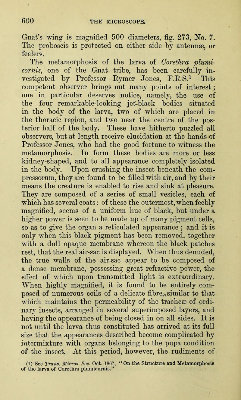Gnat’s wing is magnified 500 diameters, fig. 273, No. 7. The proboscis is protected on either side by antennae, or feelers. The metamorphosis of the larva of Coretlira plumi- cornis, one of the Gnat tribe, has been carefully in- vestigated by Professor Eymer Jones, F.RS.1 This competent observer brings out many points of interest; one in particular deserves notice, namely, the use of the four remarkable-looking jet-black bodies situated in the body of the larva, two of which are placed in the thoracic region, and two near the centre of the pos- terior half of the body. These have hitherto puzzled all observers, but at length receive elucidation at the hands of Professor Jones, who had the good fortune to witness the metamorphosis. In form these bodies are more or less kidney-shaped, and to all appearance completely isolated in the body. Upon crushing the insect beneath the com- pressorum, they are found to be filled with air, and by their means the creature is enabled to rise and sink at pleasure. They are composed of a series of small vesicles, each of which has several coats: of these the outermost, when feebly magnified, seems of a uniform hue of black, but under a higher power is seen to be made up of many pigment cells, so as to give the organ a reticulated appearance; and it is only when this black pigment has been removed, together with a dull opaque membrane whereon the black patches rest, that the real air-sac is displayed. When thus denuded, the true walls of the air-sac appear to be composed of a dense membrane, possessing great refractive power, the effect of which upon transmitted light is extraordinary. When highly magnified, it is found to be entirely com- posed of numerous coils of a delicate fibre,^similar to that which maintains the permeability of the tracheae of ordi- nary insects, arranged in several superimposed layers, and having the appearance of being closed in on all sides. It is not until the larva thus constituted has arrived at its full size that the appearances described become complicated by intermixture with organs belonging to the pupa condition of the insect. At this period, however, the rudiments of (I) See Trans. Micros. Soc. Oct. 1S67, “ On the Structure and Metamorphosis of the larva of Corethra pluiuicorni3.”