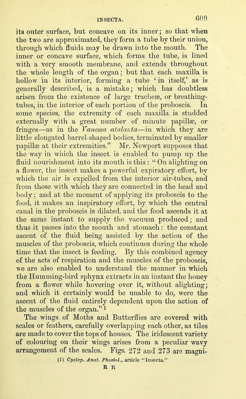 its outer surface, but concave on its inner; so that when the two are approximated, they form a tube by their union, through which fluids may be drawn into the mouth. The inner or concave surface, which forms the tube, is lined with a very smooth membrane, and extends throughout the whole length of the organ: but that each maxilla is hollow in its interior, forming a tube ‘ in itself,’ as is generally described, is a mistake; which has doubtless arisen from the existence of large tracheae, or breathing- tubes, in the interior of each portion of the proboscis. In some species, the extremity of each maxilla is studded externally with a great number of minute papillae, or fringes—as in the Vanessa atalar.ta—in which they are little elongated barrel-shaped bodies, terminated by smaller papillae at their extremities.” Mr. Newport supposes that the way in which the insect is enabled to pump Tip the fluid nourishment into its mouth is this : “ On alighting on a flower, the insect makes a powerful expiratory effort, by which the air is expelled from the interior air-tubes, and from those with which they are connected in the head and body; and at the moment of applying its proboscis to the food, it makes an inspiratory effort, by which the central canal iu the proboscis is dilated, and the food ascends it at the same instant to supply the vacuum produced; and thus it passes into the mouth and stomach: the constant ascent of the fluid being assisted by the action of the muscles of the proboscis, which continues during the whole time that the insect is feeding. By this combined agency of the acts of respiration and the muscles of the proboscis, we are also enabled to understand the manner in which the Humming-bird sphynx extracts in an instant the honey from a flower while hovering over it, without alighting; and which it certainly would be unable to do, were the ascent of the fluid entirely dependent upon the action of the muscles of the organ.”1 The wings of Moths and Butterflies are covered with scales or feathers, carefully overlapping each other, as tiles are made to cover the tops of houses. The iridescent variety of colouring on their wings arises from a peculiar wavy arrangement of the scales. Figs. 272 and 273 are magni- (1) Cyclop. Anat. Physiol., article “Insecta.” R R
