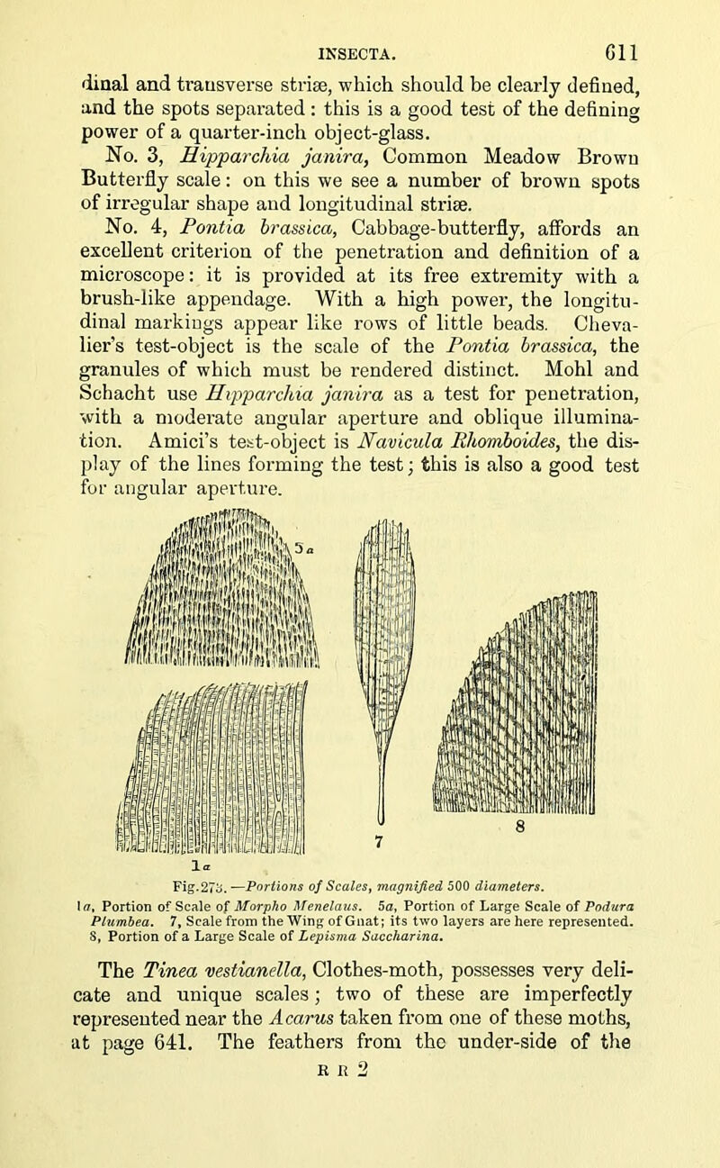 dinal and transverse strife, which should be clearly defined, and the spots separated : this is a good test of the defining power of a quarter-inch object-glass. No. 3, Hipparchia janira, Common Meadow Brown Butterfly scale: on this we see a number of brown spots of irregular shape and longitudinal strife. No. 4, Pontia brassica, Cabbage-butterfly, affords an excellent criterion of the penetration and definition of a microscope: it is provided at its free extremity with a brush-like appendage. With a high power, the longitu- dinal markings appear like rows of little beads. Cheva- lier’s test-object is the scale of the Pontia brassica, the granules of which must be rendered distinct. Mohl and Schacht use Hipparchia janira as a test for penetration, with a moderate angular aperture and oblique illumina- tion. Amici’s test-object is Navicula Rhomboides, the dis- play of the lines forming the test; this is also a good test for angular aperture. 1* Fig.27b.—Portions of Scales, magnified 500 diameters. Iff, Portion of Scale of Morpho Menelaus. 5a, Portion of Large Scale of Podura Plumbea. 7, Scale from the Wing of Gnat; its two layers are here represented. 8, Portion of a Large Scale of Lepisma Saccharina. The Tinea vestianella, Clothes-moth, possesses very deli- cate and unique scales; two of these are imperfectly represented near the A earns taken from one of these moths, at page 641. The feathers from the under-side of the R r 2