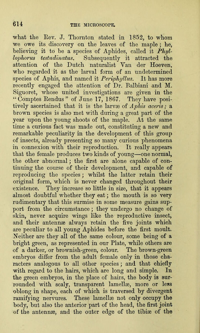 what the Rev. J. Thornton stated in 1852, to whom we owe its discovery on the leaves of the maple; he, believing it to be a species of Aphides, called it Phyl- lophorus testudinatus. Subsequently it attracted the attention of the Dutch naturalist Van der Hoeven, who regarded it as the larval form of an undetermined species of Aphis, and named it PeripTiyllus. It has more recently engaged the attention of Dr. Balbiani and M. Siguoret, whose united investigations are given in the “Comptes Rendus ” of June 17, 1867. They have posi- tively ascertained that it is the larvae of Aphis aceris; a brown species is also met with during a great part of the year upon the young shoots of the maple. At the same time a curious fact was made out, constituting a new and remarkable peculiarity in the development of this group of insects, already presenting so many curious phenomena in connexion with their reproduction. It really appears that the female produces two kinds of young—one normal, the other abnormal; the first are alone capable of con- tinuing the course of their development, and capable of reproducing the species; whilst the latter retain their original form, which is never changed throughout their existence. They increase so little in size, that it appears almost doubtful whether they eat; the mouth is so very rudimentary that this surmise in some measure gains sup- port from the circumstance; they undergo no change of skin, never acquire wings like the reproductive insect, and their antennae always retain the five joints which are peculiar to all young Aphides before the first moult. Neither are they all of the same colour, some being of a bright green, as represented in our Plate, while others are of a darker, or brownish-green, colour. The brown-green embryos differ from the adult female only in those cha- racters analogous to all other species; and that chiefly with regard to the hairs, which are long and simple. In the green embryos, in the place of hairs, the body is sur- rounded with scaly, transparent lamellae, more or less oblong in shape, each of which is traversed by divergent ramifying nervures. These lamellae not only occupy the body, but also the anterior part of the head, the first joint of the antennae, and the outer edge of the tibiae of the