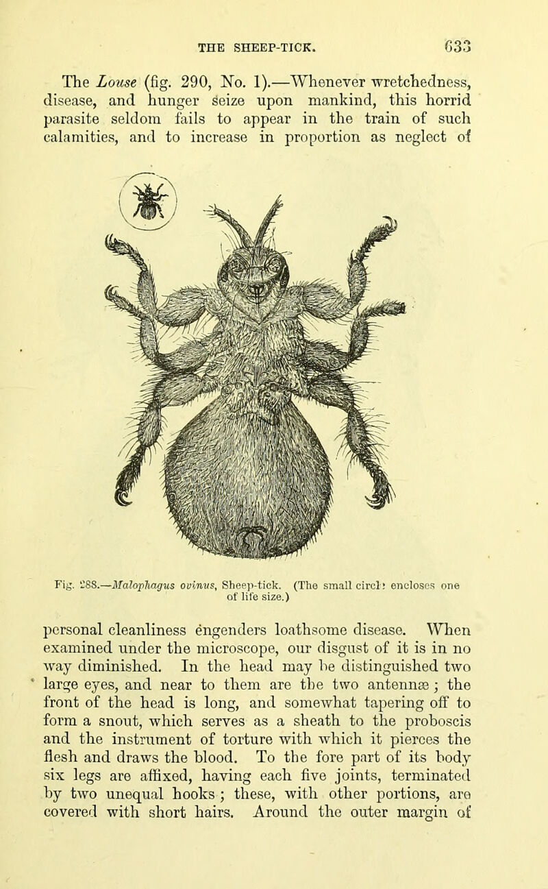 THE SHEEP-TICK. G33 The Louse (fig. 290, No. 1).—Whenever wretchedness, disease, and hunger Seize upon mankind, this horrid parasite seldom fails to appear in the train of such calamities, and to increase in proportion as neglect of Fig. ‘.188.—Malophagus ouinvs, Sheep-tick. (The small cirel! encloses one of life size.) personal cleanliness engenders loathsome disease. When examined under the microscope, our disgust of it is in no way diminished. In the head may he distinguished two large eyes, and near to them are the two antennse; the front of the head is long, and somewhat tapering off to form a snout, which serves as a sheath to the proboscis and the instrument of torture with which it pierces the flesh and draws the blood. To the fore part of its body six legs are affixed, having each five joints, terminated by two unequal hooks ; these, with other portions, are covered with short hairs. Around the outer margin of