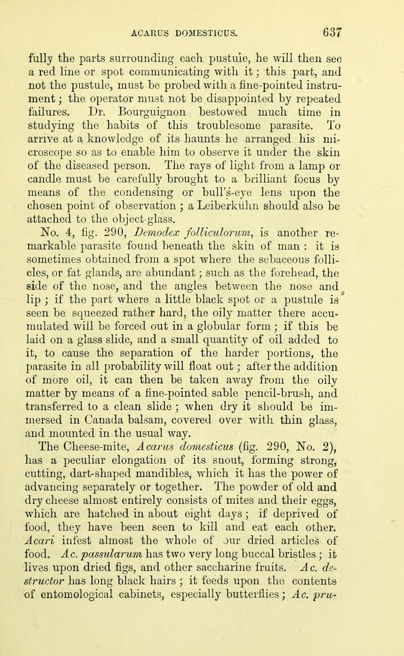 fully the parts surrounding each pustule, he will then see a red line or spot communicating with it; this part, and not the pustule, must he probed with a fine-pointed instru- ment ; the operator must not he disappointed by repeated failures. Dr. Bourguignon bestowed much time in studying the habits of this troublesome parasite. To arrive at a knowledge of its haunts he arranged his mi- croscope so as to enable him to observe it under the skin of the diseased person. The rays of light from a lamp or candle must be carefully brought to a brilliant focus by means of the condensing or bull’s-eye lens upon the chosen point of observation ; a Leiberktihn should also be attached to the object-glass. No. 4, fig. 290, Demodex folliculorum, is another re- markable parasite found beneath the skin of man : it is sometimes obtained from a spot where the sebaceous folli- cles, or fat glands, are abundant; such as the forehead, the side of the nose, and the angles between the nose and lip ; if the part where a little black spot or a pustule is seen be squeezed rather hard, the oily matter there accu- mulated will be forced out in a globular form ; if this be laid on a glass slide, and a small quantity of oil added to it, to cause the separation of the harder portions, the parasite in all probability will float out; after the addition of more oil, it can then be taken away from the oily matter by means of a fine-pointed sable pencil-brush, and transferred to a clean slide; when dry it should be im- mersed in Canada balsam, covered over with thin glass, and mounted in the usual way. The Cheese-mite, Acarus domesticus (fig. 290, No. 2), has a peculiar elongation of its snout, forming strong, cutting, dart-shaped mandibles, which it has the power of advancing separately or together. The powder of old and dry cheese almost entirely consists of mites and their eggs, which are hatched in about eight days; if deprived of food, they have been seen to kill and eat each other. Acari infest almost the whole of our dried articles of food. Ac. passularum has two very long buccal bristles; it lives upon dried figs, and other saccharine fruits. Ac. de- structor has long black hairs ; it feeds upon the contents of entomological cabinets, especially butterflies; Ac. pru-