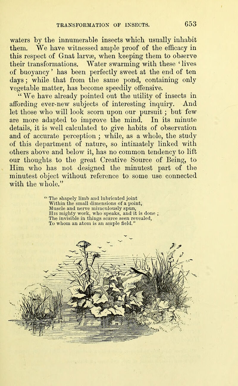 G53 waters by the innumerable insects which usually inhabit them. We have witnessed ample proof of the efficacy in this respect of Gnat larvie, when keeping them to observe their transformations. Water swarming with these ‘lives of buoyancy ’ has been perfectly sweet at the end of ten days; while that from the same pond, containing only vegetable matter, has become speedily offensive. “We have already pointed out the utility of insects in affording ever-new subjects of interesting inquiry. And let those who will look scorn upon our pursuit; but few are more adapted to improve the mind. In its minute details, it is well calculated to give habits of observation and of accurate perception ; while, as a whole, the study of this department of nature, so intimately linked with others above and below it, has no common tendency to lift our thoughts to the great Creative Source of Being, to Him who has not designed the minutest part of the minutest object without reference to some use connected with the whole.” “ The shapely limb and lubricated joint Within the small dimensions of a point, Muscle and nerve miraculously spun, His mighty work, who speaks, and it is done ; The invisible in things scarce seen revealed, To whom an atom is an ample field.”