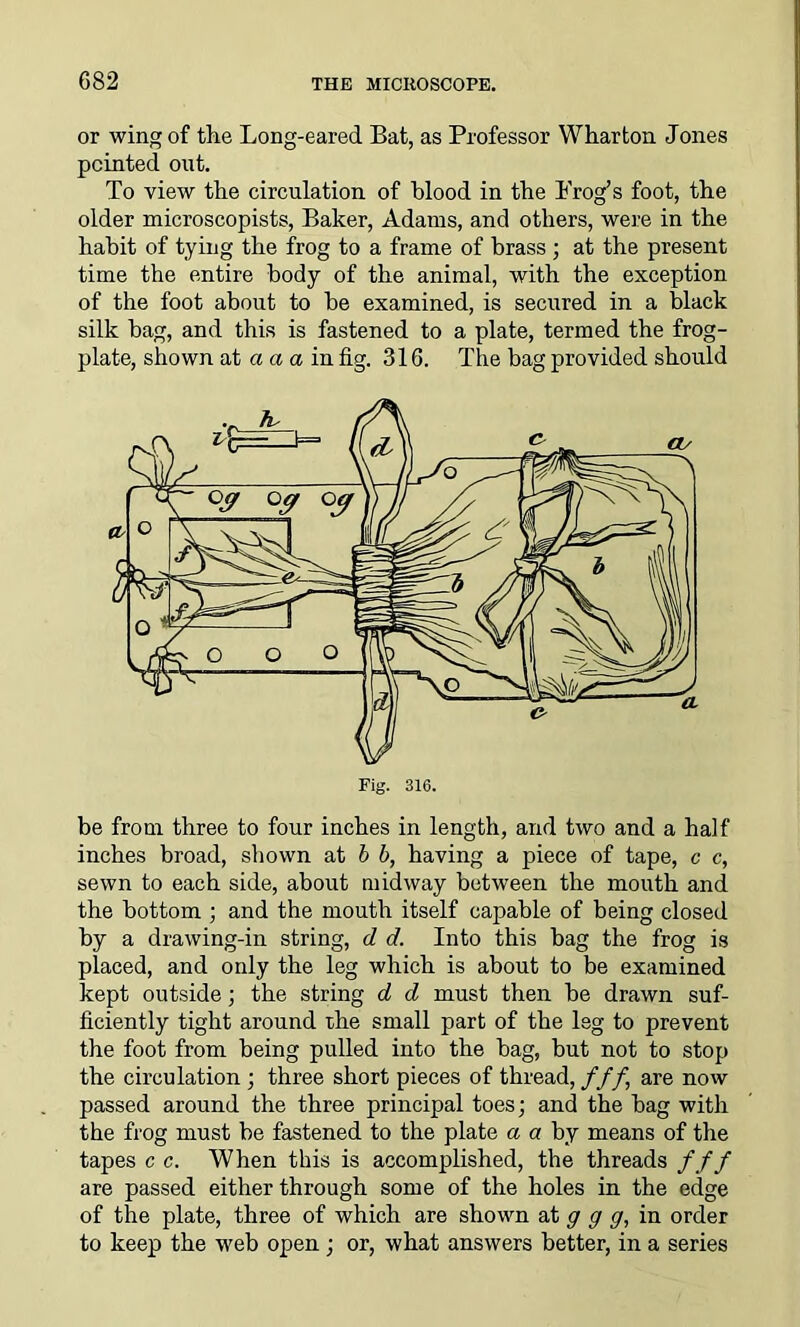 or wing of the Long-eared. Bat, as Professor Wharton Jones pointed out. To view the circulation of blood in the Prog’s foot, the older microscopists, Baker, Adams, and others, were in the habit of tying the frog to a frame of brass ; at the present time the entire body of the animal, with the exception of the foot about to he examined, is secured in a black silk hag, and this is fastened to a plate, termed the frog- plate, shown at a a a in fig. 316. The bag provided should be from three to four inches in length, and two and a half inches broad, shown at b b, having a piece of tape, c c, sewn to each side, about midway between the mouth and the bottom ; and the mouth itself capable of being closed by a drawing-in string, d d. Into this bag the frog is placed, and only the leg which is about to be examined kept outside; the string d d must then be drawn suf- ficiently tight around rhe small part of the leg to prevent the foot from being pulled into the bag, but not to stop the circulation ; three short pieces of thread, ///, are now passed around the three principal toes; and the bag with the frog must be fastened to the plate a a by means of the tapes c c. When this is accomplished, the threads f f f are passed either through some of the holes in the edge of the plate, three of which are shown at g g g, in order to keep the web open ; or, what answers better, in a series