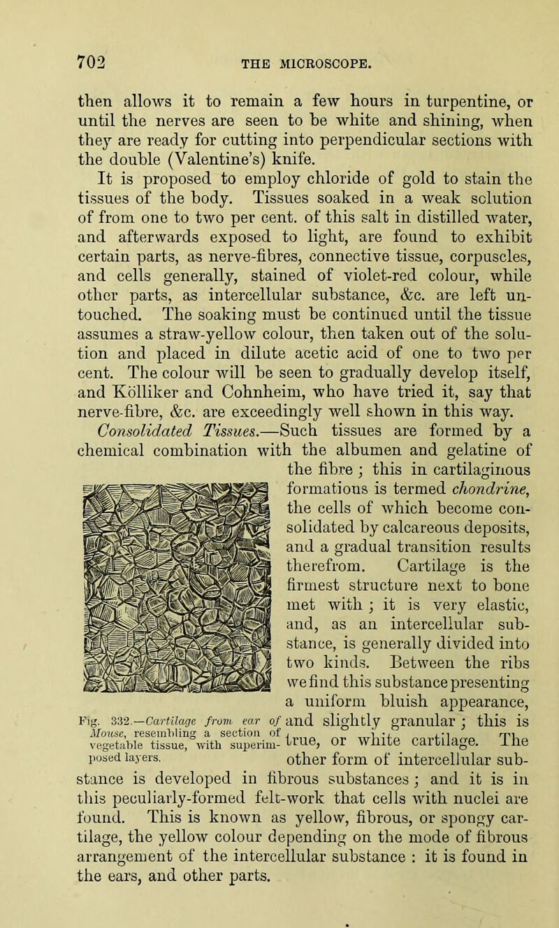 then allows it to remain a few hours in turpentine, or until the nerves are seen to he white and shining, when they are ready for cutting into perpendicular sections with the double (Valentine’s) knife. It is proposed to employ chloride of gold to stain the tissues of the body. Tissues soaked in a weak solution of from one to two per Gent, of this salt in distilled water, and afterwards exposed to light, are found to exhibit certain parts, as nerve-fibres, connective tissue, corpuscles, and cells generally, stained of violet-red colour, while other parts, as intercellular substance, &c. are left un- touched. The soaking must be continued until the tissue assumes a straw-yellow colour, then taken out of the solu- tion and placed in dilute acetic acid of one to two per cent. The colour will be seen to gradually develop itself, and Kolliker and Cohnheim, who have tried it, say that nerve-fibre, &c. are exceedingly well shown in this way. Consolidated Tissues.—Such tissues are formed by a chemical combination with the albumen and gelatine of the fibre ; this in cartilaginous formations is termed chondrine, the cells of which become con- solidated by calcareous deposits, and a gradual transition results therefrom. Cartilage is the firmest structure next to bone met with ; it is very elastic, and, as an intercellular sub- stance, is generally divided into two kinds. Between the ribs we find this substance presenting a uniform bluish appearance, Fig. 332.—Cartilage frovi ear of and slightly granular ; this is Mouse, resembling a section of , _ • t rrn vegetable tissue, with superim- true, Of white Caituage. Ihe posed layers. other form of intercellular sub- stance is developed in fibrous substances ; and it is in this peculiarly-formed felt-work that cells with nuclei are found. This is known as yellow, fibrous, or spongy car- tilage, the yellow colour depending on the mode of fibrous arrangement of the intercellular substance : it is found in the ears, and other parts.