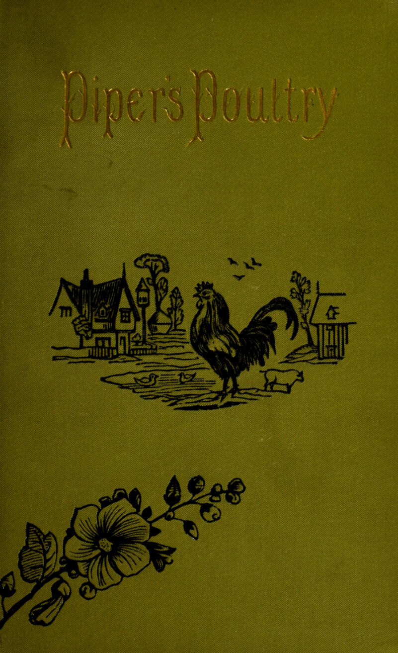 No text description is available for this image