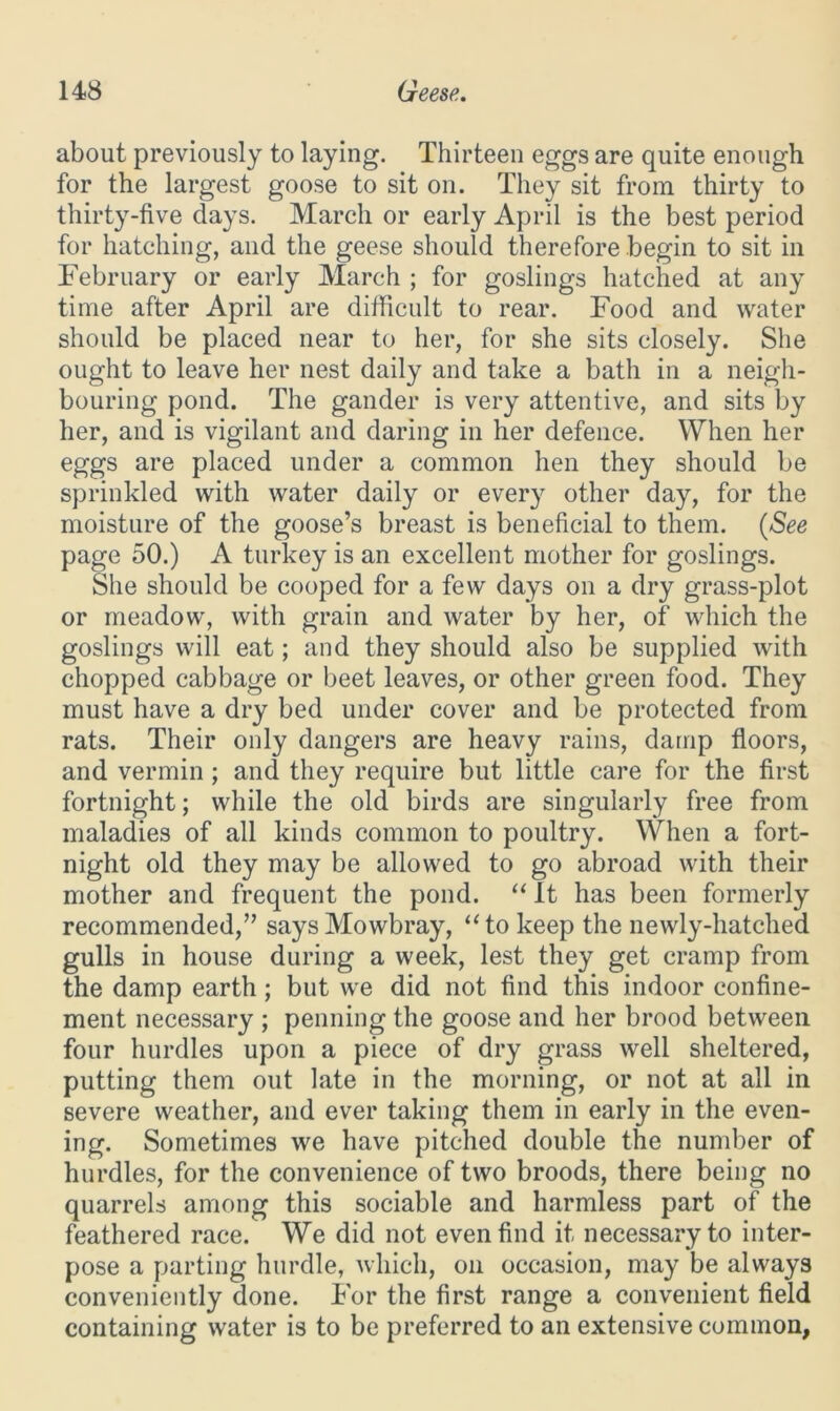 about previously to laying. Thirteen eggs are quite enough for the largest goose to sit on. They sit from thirty to thirty-five days. March or early April is the best period for hatching, and the geese should therefore begin to sit in February or early March ; for goslings hatched at any time after April are difficult to rear. Food and water should be placed near to her, for she sits closely. She ought to leave her nest daily and take a bath in a neigh- bouring pond. The gander is very attentive, and sits by her, and is vigilant and daring in her defence. When her eggs are placed under a common hen they should be sprinkled with water daily or every other day, for the moisture of the goose’s breast is beneficial to them. (See page 50.) A turkey is an excellent mother for goslings. She should be cooped for a few days on a dry grass-plot or meadow, with grain and water by her, of which the goslings will eat; and they should also be supplied with chopped cabbage or beet leaves, or other green food. They must have a dry bed under cover and be protected from rats. Their only dangers are heavy rains, damp floors, and vermin; and they require but little care for the first fortnight; while the old birds are singularly free from maladies of all kinds common to poultry. When a fort- night old they may be allowed to go abroad with their mother and frequent the pond. “ It has been formerly recommended,” says Mowbray, “to keep the newly-hatched gulls in house during a week, lest they get cramp from the damp earth; but we did not find this indoor confine- ment necessary ; penning the goose and her brood between four hurdles upon a piece of dry grass well sheltered, putting them out late in the morning, or not at all in severe weather, and ever taking them in early in the even- ing. Sometimes we have pitched double the number of hurdles, for the convenience of two broods, there being no quarrels among this sociable and harmless part of the feathered race. We did not even find it necessary to inter- pose a parting hurdle, which, on occasion, may be always conveniently done. For the first range a convenient field containing water is to be preferred to an extensive common,