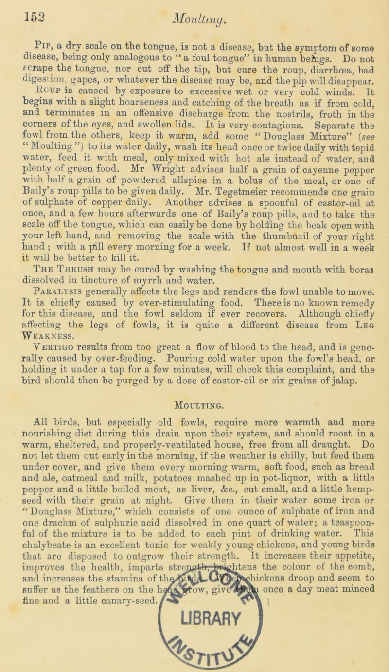 ny. Pip, a dry scale on the tongue, is not a disease, but the symptom of some disease, being only analogous to “ a foul tongue” in human behigs. Do not t crape the tongue, nor cut off the tip, but cure the roup, diarrhoea, bad digestion, gapes, or whatever the disease may be, and the pip will disappear. Koup is caused by exposure to excessive wet or very cold winds. It begins with a slight hoarseness and catching of the breath as if from cold, and terminates in an offensive discharge from the nostrils, froth in the corners of the eyes, and swollen lids. It is very contagious. Separate the fowl from the others, keep it warm, add some “ Douglass Mixture” (see “Moulting”) to its water daily, wash its head once or twice daily with tepid water, feed it with meal, only mixed with hot ale instead of water, and plenty of green food. Mr Wright advises half a grain of cayenne pepper with half a grain of powdered allspice in a bolus of the meal, or one of Baily’s roup pills to be given daily. Mr. Tegetmeier recommends one grain of sulphate of copper daily. Another advises a spoonful of castor-oil at once, and a few hours afterwards one of Baily’s roup pills, and to take the scale off the tongue, which can easily be done by holding the beak open with your left hand, and removing the scale with the thumbnail of your right hand ; with a prill every morning for a week. If not almost well in a week it will be better to kill it. The Thrush may be cured by washing the tongue and mouth with boraj dissolved in tincture of myrrh and water. Paralysis generally affects the legs and renders the fowl unable to move. It is chiefly caused by over-stimulating food. There is no known remedy for this disease, and the fowl seldom if ever recovers. Although chiefly affecting the legs of fowls, it is quite a different disease from Leo Weakness. Vertigo results from too great a flow of blood to the head, and is gene- rally caused by over-feeding. Pouring cold water upon the fowl’s head, or holding it under a tap for a few minutes, will check this complaint, and the bird should then be purged by a dose of castor-oil or six grains of jalap. Moulting. All birds, but especially old fowls, require more warmth and more nourishing diet during this drain upon their system, and should roost in a warm, sheltered, and properly-ventilated house, free from all draught. Do not let them out early in the morning, if the weather is chilly, but feed them under cover, and give them every morning warm, soft food, such as bread and ale, oatmeal and milk, potatoes mashed up in pot-liquor, with a little pepper and a little boiled meat, as liver, &c., cut small, and a little hemp- seed with their grain at night. Give them in their water some iron or “ Douglass Mixture,” which consists of one ounce of sulphate of iron and one drachm of sulphuric acid dissolved in one quart of water; a teaspoon- ful of the mixture is to be added to each pint of drinking water. This chalybeate is an excellent tonic for weakly young chickens, and young birds that are disposed to outgrow their strength. It increases their appetite, improves the health, imparts strength,^iMghtens the colour of the comb, and increases the stamina of tha ^jhickens droop and seem to suffer as the feathers on the hamrtfow, giv^flfcai once a day meat minced fine and a little canary-seed.v'X 1 LIBRARY
