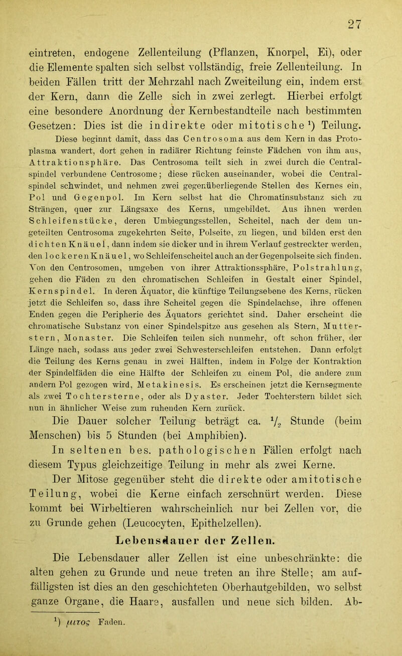 eintreten, endogene Zellenteilung (Pflanzen, Knorpel, Ei), oder die Elemente spalten siet selbst vollständig, freie Zellenteilung. In beiden Eällen tritt der Mebrzabl nach Zweiteilung ein, indem erst der Kern, dann die Zelle sieb in zwei zerlegt. Hierbei erfolgt eine besondere Anordnung der Kernbestandteile nach bestimmten Gesetzen: Dies ist die indirekte oder mitotische1) Teilung. Diese beginnt damit, dass das Centrosoma aus dem Kern in das Proto- plasma wandert, dort gehen in radiärer Richtung feinste Fädchen von ihm aus, Attraktionsphäre. Das Centrosoma teilt sich in zwei durch die Central- spindel verbundene Centrosome; diese rücken auseinander, wobei die Central- spindel schwindet, und nehmen zwei gegenüberliegende Stellen des Kernes ein, Pol und Gegenpol. Im Kern selbst hat die Chromatinsubstanz sich zu Strängen, quer zur Längsaxe des Kerns, umgebildet. Aus ihnen werden Schleifenstücke, deren Umbiegungsstellen, Scheitel, nach der dem un- geteilten Centrosoma zugekehrten Seite, Polseite, zu liegen, und bilden erst den dichten Knäuel, dann indem sie dicker und in ihrem Verlauf gestreckter werden, den locke renKnäuel, wo Schleifenscheitel auch an der Gegenpolseite, sich finden. Von den Centrosomen, umgeben von ihrer Attraktionssphäre, Polstrahlung, gehen die Fäden zu den chromatischen Schleifen in Gestalt einer Spindel, Kernspindel. In deren Äquator, die künftige Teilungsebene des Kerns, rücken jetzt die Schleifen so, dass ihre Scheitel gegen die Spindelachse, ihre offenen Enden gegen die Peripherie des Äquators gerichtet sind. Daher erscheint die chromatische Substanz von einer Spindelspitze aus gesehen als Stern, Mutter- stern, Monaster. Die Schleifen teilen sich nunmehr, oft schon früher, der Länge nach, sodass aus jeder zwei Schwesterschleifen entstehen. Dann erfolgt die Teilung des Kerns genau in zwei Hälften, indem in Folge der Kontraktion der Spindelfäden die eine Hälfte der Schleifen zu einem Pol, die andere zum andern Pol gezogen wird, Metakinesis. Es erscheinen jetzt die Kernsegmente als zwei Tochtersterne, oder als Dyaster. Jeder Tochterstern bildet sich nun in ähnlicher Weise zum ruhenden Kern zurück. Die Dauer solcher Teilung beträgt ca. V2 Stunde (beim Menschen) bis 5 Stunden (bei Amphibien). In seltenen bes. pathologischen Fällen erfolgt nach diesem Typus gleichzeitige Teilung in mehr als zwei Kerne. Der Mitose gegenüber steht die direkte oder amitotische Teilung, wobei die Kerne einfach zerschnürt werden. Diese kommt bei Wirbeltieren wahrscheinlich nur bei Zellen vor, die zu Grunde gehen (Leucocyten, Epithelzellen). Lebensdauer der Zellen. Die Lebensdauer aller Zellen ist eine unbeschränkte: die alten gehen zu Grunde und neue treten an ihre Stelle; am auf- fälligsten ist dies an den geschichteten Oberhautgebilden, wo selbst ganze Organe, die Haare, ausfallen und neue sich bilden. Ab- L) /uirog Faden.