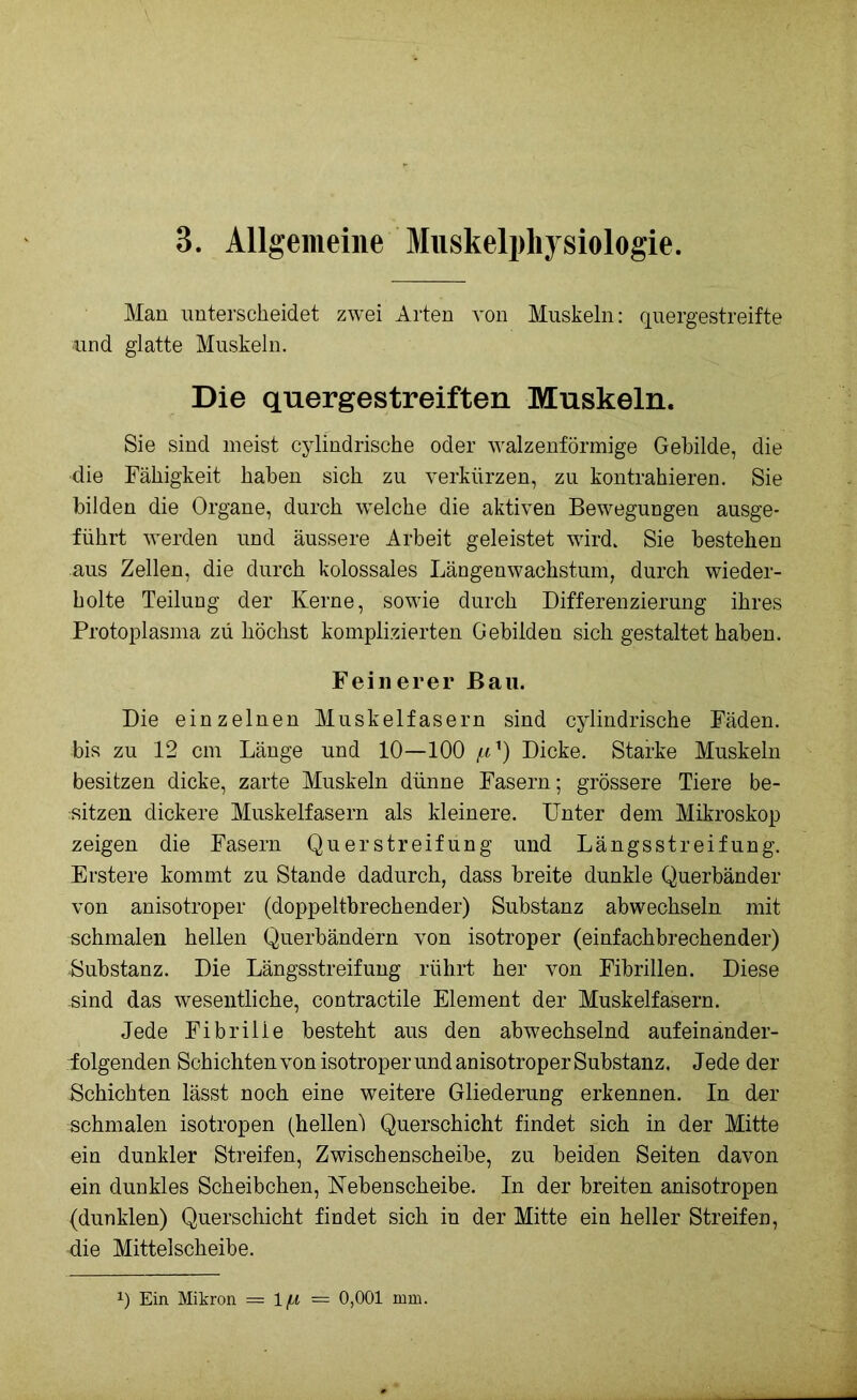 3. Allgemeine Muskelphysiologie. Man unterscheidet zwei Arten von Muskeln: quergestreifte •und glatte Muskeln. Die quergestreiften Muskeln. Sie sind meist cylindrische oder walzenförmige Gebilde, die ■die Fähigkeit haben sich zu verkürzen, zu kontrahieren. Sie bilden die Organe, durch welche die aktiven Bewegungen ausge- führt werden und äussere Arbeit geleistet wird. Sie bestehen aus Zellen, die durch kolossales Längenwachstum, durch wieder- holte Teilung der Kerne, sowie durch Differenzierung ihres Protoplasma zü höchst komplizierten Gebilden sich gestaltet haben. Feinerer Bau. Die einzelnen Muskelfasern sind cylindrische Fäden, bis zu 12 cm Länge und 10—100 ^) Dicke. Starke Muskeln besitzen dicke, zarte Muskeln dünne Fasern; grössere Tiere be- sitzen dickere Muskelfasern als kleinere. Unter dem Mikroskop zeigen die Fasern Querstreifung und Längsstreifung. Erstere kommt zu Stande dadurch, dass breite dunkle Querbänder von anisotroper (doppeltbrechender) Substanz abwechseln mit schmalen hellen Querbändern von isotroper (einfachbrechender) Substanz. Die Längsstreifung rührt her von Fibrillen. Diese -sind das wesentliche, contractile Element der Muskelfasern. Jede Fibrille besteht aus den abwechselnd aufeinander- folgenden Schichten von isotroperund anisotroper Substanz. Jede der Schichten lässt noch eine weitere Gliederung erkennen. In der schmalen isotropen (hellen) Querschicht findet sich in der Mitte ein dunkler Streifen, Zwischenscheibe, zu beiden Seiten davon ein dunkles Scheibchen, Nebenscheibe. In der breiten anisotropen (dunklen) Querschicht findet sich in der Mitte ein heller Streifen, die Mittelscheibe.
