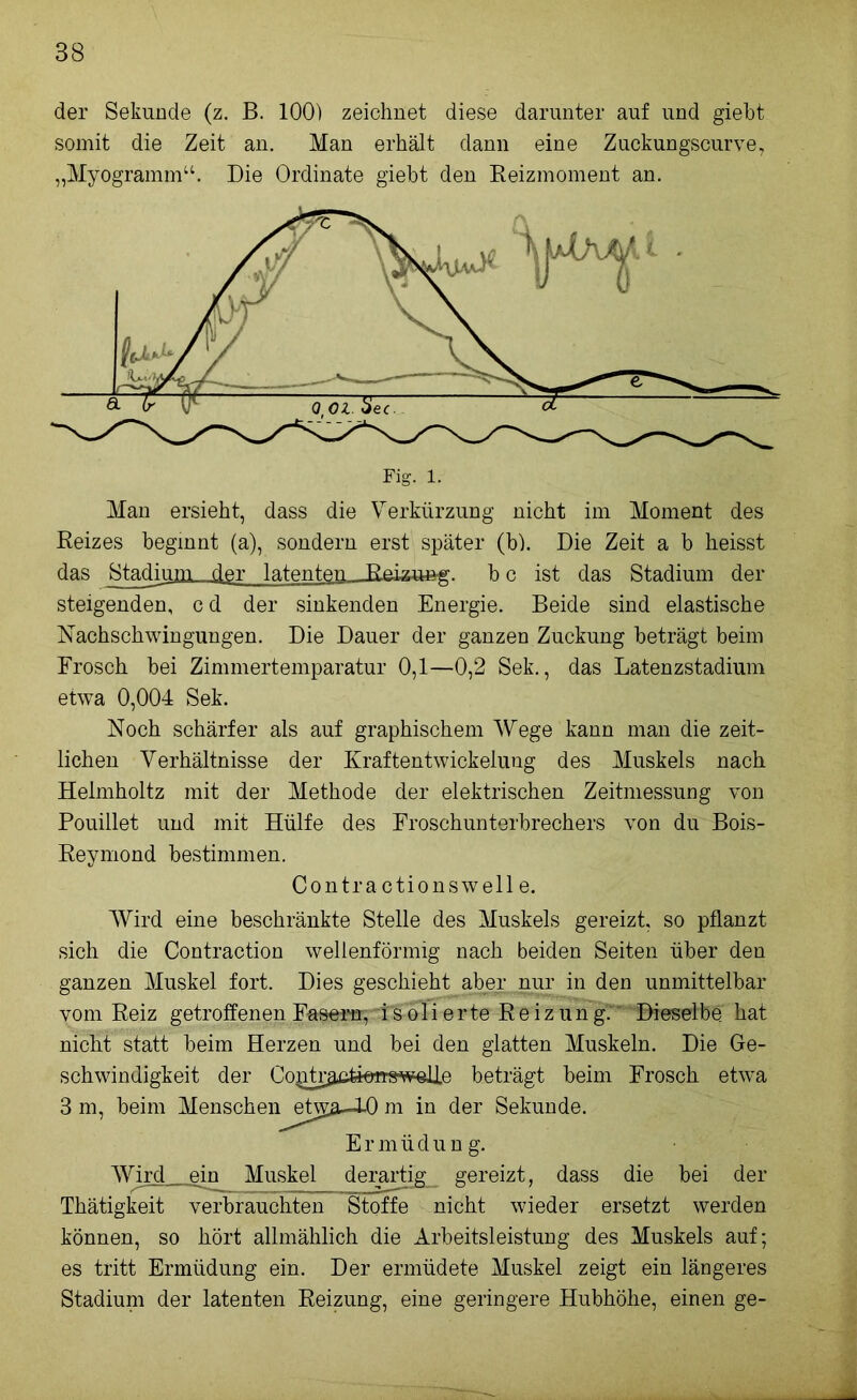 der Sekunde (z. B. 100) zeichnet diese darunter auf und giebt somit die Zeit an. Man erhält dann eine Zuckungscurve, „Myogramm“. Die Ordinate giebt den Beizmoment an. Man ersieht, dass die Verkürzung nicht im Moment des Reizes beginnt (a), sondern erst später (b). Die Zeit a b heisst das Stadium... der latenten RnLow-g-. b c ist das Stadium der steigenden, c d der sinkenden Energie. Beide sind elastische Nachschwingungen. Die Dauer der ganzen Zuckung beträgt beim Frosch bei Zimmertemparatur 0,1—0,2 Sek., das Latenzstadium etwa 0,004 Sek. Noch schärfer als auf graphischem Wege kann man die zeit- lichen Verhältnisse der Kraftentwickelung des Muskels nach Helmholtz mit der Methode der elektrischen Zeitmessung von Pouillet und mit Hülfe des Froschunterbrechers von du Bois- Reymond bestimmen. Contra ction sw eil e. Wird eine beschränkte Stelle des Muskels gereizt, so pflanzt sich die Contraction wellenförmig nach beiden Seiten über den ganzen Muskel fort. Dies geschieht aber nur in den unmittelbar vom Reiz getroffenen Fasern, i s oli erte R e i z un g. Dieselbe hat nicht statt beim Herzen und bei den glatten Muskeln. Die Ge- schwindigkeit der Con tl^tkrirswelle beträgt beim Frosch etwa 3 m, beim Menschenj3t\pu-L0 m in der Sekunde. Ermüdun g. Wird ein Muskel derartig gereizt, dass die bei der Thätigkeit verbrauchten Stoffe nicht wieder ersetzt werden können, so hört allmählich die Arbeitsleistung des Muskels auf; es tritt Ermüdung ein. Der ermüdete Muskel zeigt ein längeres Stadium der latenten Reizung, eine geringere Hubhöhe, einen ge-