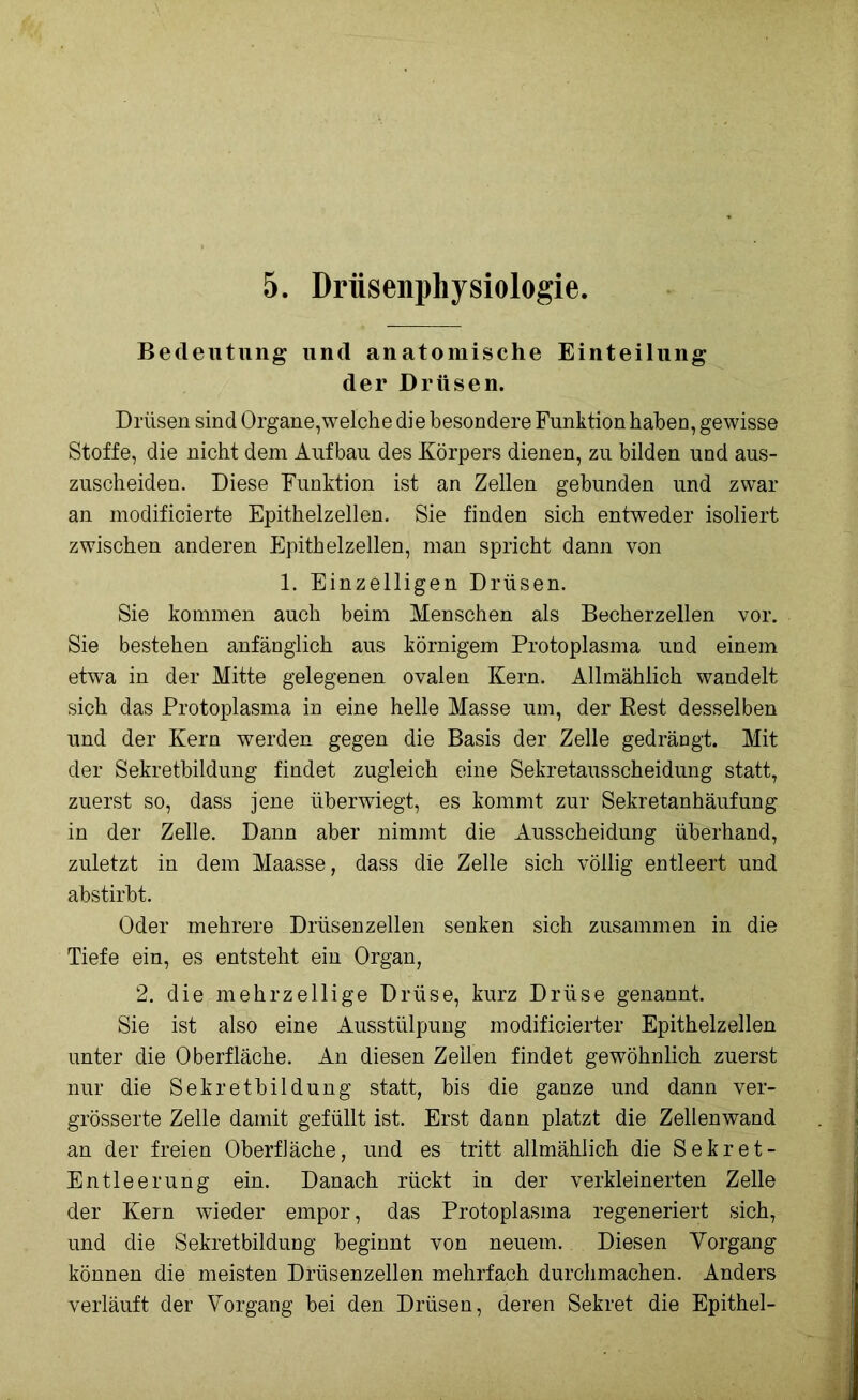 5. Drüsenpliysiologie. Bedeutung und anatomische Einteilung der Drüsen. Drüsen sind Organe,welche die besondere Funktion haben, gewisse Stoffe, die nicht dem Aufbau des Körpers dienen, zu bilden und aus- zuscheiden. Diese Funktion ist an Zellen gebunden und zwar an modificierte Epithelzellen. Sie finden sich entweder isoliert zwischen anderen Epithelzellen, man spricht dann von 1. Einzelligen Drüsen. Sie kommen auch beim Menschen als Becherzellen vor. Sie bestehen anfänglich aus körnigem Protoplasma und einem etwa in der Mitte gelegenen ovalen Kern. Allmählich wandelt sich das Protoplasma in eine helle Masse um, der Rest desselben und der Kern werden gegen die Basis der Zelle gedrängt. Mit der Sekretbildung findet zugleich eine Sekretausscheidung statt, zuerst so, dass jene überwiegt, es kommt zur Sekretanhäufung in der Zelle. Dann aber nimmt die Ausscheidung überhand, zuletzt in dem Maasse, dass die Zelle sich völlig entleert und abstirbt. Oder mehrere Drüsenzellen senken sich zusammen in die Tiefe ein, es entsteht ein Organ, 2. die mehrzellige Drüse, kurz Drüse genannt. Sie ist also eine Ausstülpung modificierter Epithelzellen unter die Oberfläche. An diesen Zeilen findet gewöhnlich zuerst nur die Sekretbildung statt, bis die ganze und dann ver- grösserte Zelle damit gefüllt ist. Erst dann platzt die Zellenwand an der freien Oberfläche, und es tritt allmählich die Sekret- Entleerung ein. Danach rückt in der verkleinerten Zelle der Kern wieder empor, das Protoplasma regeneriert sich, und die Sekretbildung beginnt von neuem. Diesen Vorgang können die meisten Drüsenzellen mehrfach durchmachen. Anders verläuft der Vorgang bei den Drüsen, deren Sekret die Epithel-