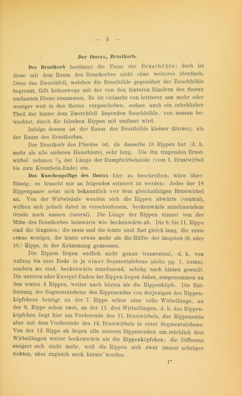 Der thorax, Brustkorb. Der Brustkorb bestimmt die Form der Brusthöhle; doch ist diese mit dem Raum des Brustkorbes nicht ohne weiteres identisch. Denn das Zwerchfell, welches die Brusthöhle gegenüber der Bauchhöhle begrenzt, fällt keineswegs mit der von den hinteren Rändern des thorax umfassten Ebene zusammen. Es ist vielmehr von letzterer aus mehr oder weniger weit in den thorax vorgeschoben, sodass auch ein erheblicher Theil der hinter dem Zwerchfell liegenden Bauchhöhle, von aussen be- trachtet, durch die falschen Rippen mit umfasst wird. Infolge dessen ist der Raum der Brusthöhle kleiner (kürzer), als der Raum des Brustkorbes. Der Brustkorb des Pferdes ist, da dasselbe 18 Rippen hat (d. h. mehr als alle anderen Hausthiere), sehr lang. Die ihn tragenden Brust- wirbel nehmen 3/5 der Länge der Rumpfwirbelsäule (vom 1. Brustwirbel bis zum Kreuzbein-Ende) ein. Das Knocliengefüge des thorax hier zu beschreiben, wäre über- flüssig; es braucht nur an folgendes erinnert zu werden: Jedes der 18 Rippenpaare setzt sich bekanntlich vor dem gleichzähligen Brustwirbel an. Von der Wirbelsäule wenden sich die Rippen abwärts (ventral), wölben sich jedoch dabei in verschiedenem, beckenwärts zunehmendem Grade nach aussen (lateral). Die Länge der Rippen nimmt von der Mitte des Brustkorbes halswärts wie beckenwärts ab. Die 8. bis 11. Rippe sind die längsten; die erste und die letzte sind fast gleich lang, die erste etwas weniger, die letzte etwas mehr als die Hälfte der längsten (9. oder 10.) Rippe, in der Krümmung gemessen. Die Rippen liegen endlich nicht genau transversal, d. h. von Anfang bis zum Ende in je einer Segmentalebene (siehe pg. 1, unten), sondern sie sind, beckenwärts zunehmend, schräg nach hinten gestellt. Die unteren oder Knorpel-Enden der Rippen liegen daher, ausgenommen an den ersten 4 Rippen, weiter nach hinten als die Rippenköpfe. Die Ent- fernung der Segmentalebene des Rippenendes von derjenigen des Rippen- köpfchens beträgt an der 7. Rippe schon eine volle Wirbellänge, an der 9. Rippe schon zwei, an der 11. drei Wirbellängen, d. h. das Rippen- köpfchen liegt hier am Vorderende des 11. Brustwirbels, das Rippenende aber mit dem Vorderende des 14. Brustwirbels in einer Segmentalebene. Von der 12. Rippe ab liegen alle unteren Rippenenden um reichlich drei Wirbellängeii weiter beckenwärts als die Rippenköpfchen; die Differenz steigert sich nicht mehr, weil die Rippen sich zwar immer schräger richten, aber zugleich auch kürzer werden. 1*