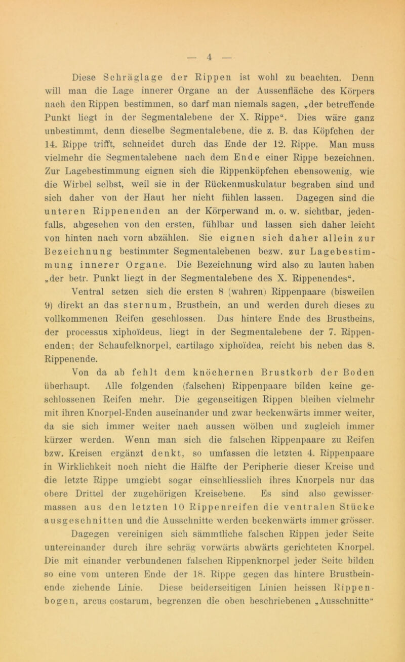 Diese Schräglage der Rippen ist wohl zu beachten. Denn will man die Lage innerer Organe an der Aussenfläche des Körpers nach den Rippen bestimmen, so darf man niemals sagen, „der betreffende Punkt liegt in der Segmentalebene der X. Rippe“. Dies wäre ganz unbestimmt, denn dieselbe Segmentalebene, die z. B. das Köpfchen der 14. Rippe trifft, schneidet durch das Ende der 12. Rippe. Man muss vielmehr die Segmentalebene nach dem Ende einer Rippe bezeichnen. Zur Lagebestimmung eignen sich die Rippenköpfchen ebensowenig, wie die Wirbel selbst, weil sie in der Rückenmuskulatur begraben sind und sich daher von der Haut her nicht fühlen lassen. Dagegen sind die unteren Rippenenden an der Körperwand m. o. w. sichtbar, jeden- falls, abgesehen von den ersten, fühlbar und lassen sich daher leicht von hinten nach vorn abzählen. Sie eignen sich daher allein zur Bezeichnung bestimmter Segmentalebenen bezw. zur LagebeStim- mung innerer Organe. Die Bezeichnung wird also zu lauten haben „der betr. Punkt liegt in der Segmentalebene des X. Rippenendes“. Ventral setzen sich die ersten 8 (wahren) Rippenpaare (bisweilen 9) direkt an das sternum, Brustbein, an und werden durch dieses zu vollkommenen Reifen geschlossen. Das hintere Ende des Brustbeins, der processus xiplioideus, liegt in der Segmentalebene der 7. Rippen- enden: der Schaufelknorpel, cartilago xiphoi'dea, reicht bis neben das 8. Rippenende. Von da ab fehlt dem knöchernen Brustkorb der Boden überhaupt. Alle folgenden (falschen) Rippenpaare bilden keine ge- schlossenen Reifen mehr. Die gegenseitigen Rippen bleiben vielmehr mit ihren Knorpel-Enden auseinander und zwar beckenwärts immer weiter, da sie sich immer weiter nach aussen wölben und zugleich immer kürzer werden. Wenn man sich die falschen Rippenpaare zu Reifen bzw. Kreisen ergänzt denkt, so umfassen die letzten 4. Rippenpaare in Wirklichkeit noch nicht die Hälfte der Peripherie dieser Kreise und die letzte Rippe umgiebt sogar einschliesslich ihres Knorpels nur das obere Drittel der zugehörigen Kreisebene. Es sind also gewisser- massen aus den letzten 10 Rippenreifen die ventralen Stücke ausgeschnitten und die Ausschnitte werden beckenwärts immer grösser. Dagegen vereinigen sich sämmtliche falschen Rippen jeder Seite untereinander durch ihre schräg vorwärts abwärts gerichteten Knorpel. Die mit einander verbundenen falschen Rippenknorpel jeder Seite bilden so eine vom unteren Ende der 18. Rippe gegen das hintere Brustbein- ende ziehende Linie. Diese beiderseitigen Linien heissen Rippen- bogen, arcus costarum, begrenzen die oben beschriebenen „Ausschnitte“