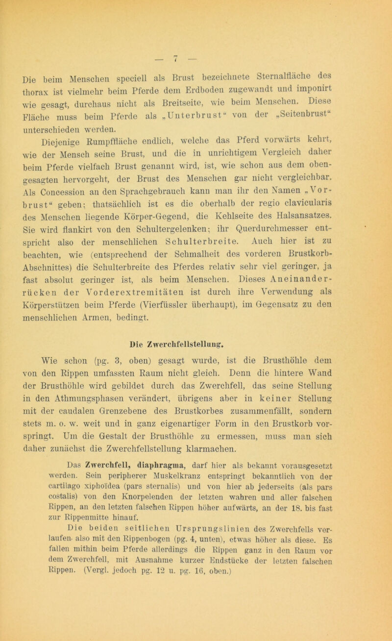 Die beim Menschen speciell als Brust bezeiclinete Sternalthiche des thorax ist vielmehr beim Pferde dem Erdboden zugewandt und imponirt wie gesagt, durchaus nicht als Breitseite, wie beim Menschen. Diese Fläche muss beim Pferde als „Unterbrust von der „beitenbiust unterschieden werden. Diejenige Rumpffläche endlich, welche das Pferd vorwärts kehrt, wie der Mensch seine Brust, und die in unrichtigem Vergleich daher beim Pferde vielfach Brust genannt wird, ist, wie schon aus dem oben- gesagten hervorgeht, der Brust des Menschen gar nicht vergleichbar. Als Concession an den Sprachgebrauch kann man ihr den Namen „Vor- brust“ geben: thatsächlieh ist es die oberhalb der regio clavicularis des Menschen liegende Körper-Gegend, die Kehlseite des Halsansatzes. Sie wird flankirt von den Schultergelenken; ihr Querdurchmesser ent- spricht also der menschlichen Schulter breite. Auch hier ist zu beachten, wie (entsprechend der Schmalheit des vorderen Brustkorb- Abschnittes) die Schulterbreite des Pferdes relativ sehr viel geringer, ja fast absolut geringer ist, als beim Menschen. Dieses Aneinander- rücken der Vorderextremitäten ist durch ihre Verwendung als Körperstützen beim Pferde (Vierfüssler überhaupt), im Gegensatz zu den menschlichen Armen, bedingt. Die Zwerchfellstellung. Wie schon (pg. 3, oben) gesagt wurde, ist die Brusthöhle dem von den Rippen umfassten Raum nicht gleich. Denn die hintere Wand der Brusthöhle wird gebildet durch das Zwerchfell, das seine Stellung in den Athmungsphasen verändert, übrigens aber in keiner Stellung mit der caudalen Grenzebene des Brustkorbes zusammenfällt, sondern stets m. o. w. weit und in ganz eigenartiger Form in den Brustkorb vor- springt. Um die Gestalt der Brusthöhle zu ermessen, muss man sich daher zunächst die Zwerchfellstellung klarmachen. Das Zwerchfell, diaphragma, darf hier als bekannt vorausgesetzt werden. Sein peripherer Muskelkranz entspringt bekanntlich von der cartilago xiphoidea (pars sternalis) und von hier ab jederseits (als pars costalis) von den Knorpelenden der letzten wahren und aller falschen Rippen, an den letzten falschen Rippen höher aufwärts, an der 18. bis fast zur Rippenmitte hinauf. Die beiden seitlichen Ursprungslinien des Zwerchfells ver- laufen- also mit den Rippenbogen (pg. 4, unten), etwas höher als diese. Es fallen mithin beim Pferde allerdings die Rippen ganz in den Raum vor- dem Zwerchfell, mit Ausnahme kurzer Endstücke der letzten falschen Rippen. (Vergl. jedoch pg. 12 u. pg. 16, oben.)