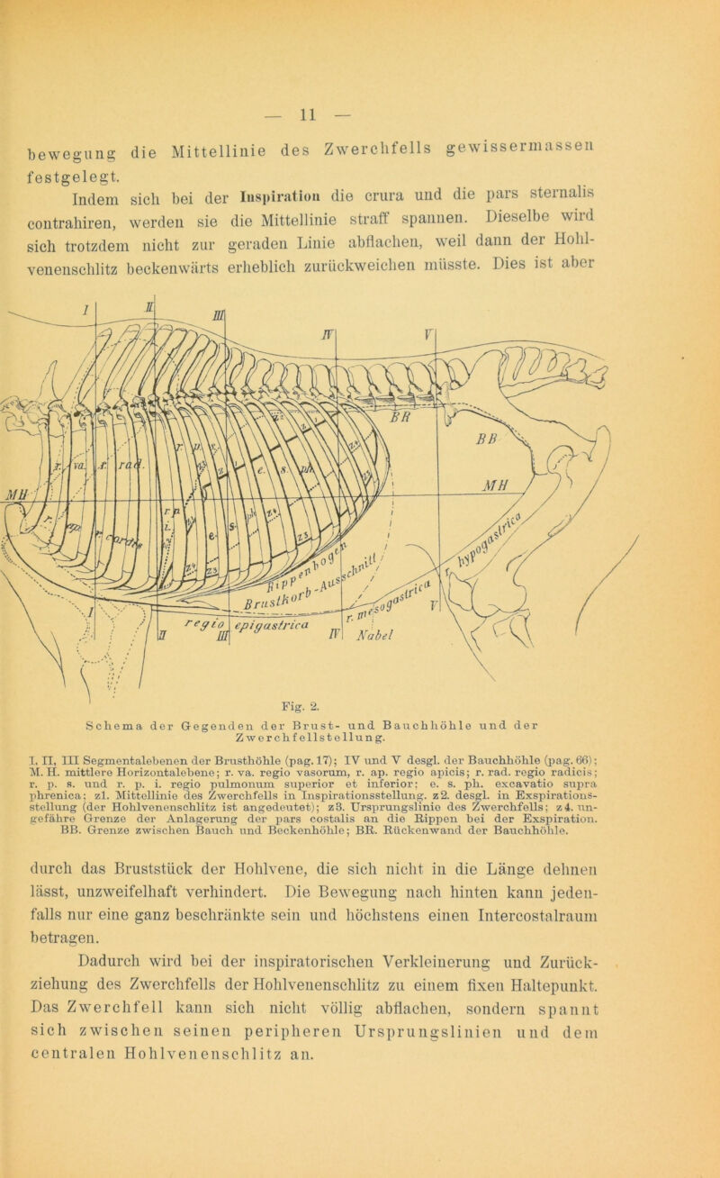 bewegung die Mittellinie des Zwerchfells gewiasermassen festgelegt. Indem sich bei der Inspiration die crura und die pars sternalis contrahiren, werden sie die Mittellinie straff spannen. Dieselbe wild sich trotzdem nicht zur geraden Linie abflachen, weil dann dei Holil- venensclilitz beckenwärts erheblich zurückweichen müsste. Dies ist abei I. II, III Segmentalebenen der Brusthöhle (pag. 17); IV und Y desgl. der Bauchhöhle (pag. 66); M. H. mittlere Horizontalehene; r. va. regio vasorum, r. ap. regio apicis; r. rad. regio radicis; r. p. s. und r. p. i. regio pulmonum superior et inferior: e. s. pli. excavatio supra phrenica; zl. Mittellinie des Zwerchfells in InspirationssteMung. z2. desgl. in Exspirations- stellung (der Hohlvenenschlitz ist angedeutet); z3. Ursprungslinio des ZwerchfeUs; z4. un- gefähre Grenze der Anlagerung der pars costalis an die Rippen hei der Exspiration. BB. Grenze zwischen Bauch und Beckenhöhle; BR. Rückenwand der Bauchhöhle. durch das Bruststück der Hohlvene, die sich nicht in die Länge dehnen lässt, unzweifelhaft verhindert. Die Bewegung nach hinten kann jeden- falls nur eine ganz beschränkte sein und höchstens einen Intercostalraum betragen. Dadurch wird bei der inspiratorischen Verkleinerung und Zurück- ziehung des Zwerchfells der Hohlvenenschlitz zu einem fixen Haltepunkt. Das Zwerchfell kann sich nicht völlig abflachen, sondern spannt sich zwischen seinen peripheren Ursprungslinien und dem centralen Hohlvenenschlitz an.