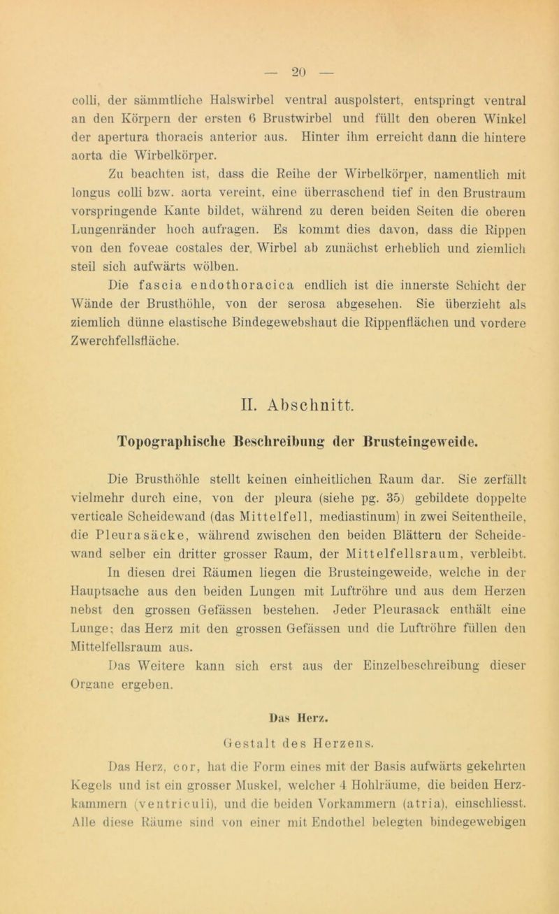 colli, der sämmtliche Halswirbel ventral auspolstert, entspringt ventral an den Körpern der ersten 6 Brustwirbel und füllt den oberen Winkel der apertura thoracis anterior aus. Hinter ihm erreicht dann die hintere aorta die Wirbelkörper. Zu beachten ist, dass die Reihe der Wirbelkörper, namentlich mit longus colli bzw. aorta vereint, eine überraschend tief in den Brustraum vorspringende Kante bildet, während zu deren beiden Seiten die oberen Lungenränder hoch aufragen. Es kommt dies davon, dass die Rippen von den foveae costales der. Wirbel ab zunächst erheblich und ziemlich steil sich aufwärts wölben. Die fascia endothoracica endlich ist die innerste Schicht der Wände der Brusthöhle, von der serosa abgesehen. Sie überzieht als ziemlich dünne elastische Bindegewebshaut die Rippenflächen und vordere Zwerchfellsfläche. II. Abschnitt. Topographische Beschreibung der Brusteingeweide. Die Brusthöhle stellt keinen einheitlichen Raum dar. Sie zerfällt vielmehr durch eine, von der pleura (siehe pg. 35) gebildete doppelte verticale Scheidewand (das Mittelfell, mediastinum) in zwei Seitentheile, die Pleurasäcke, während zwischen den beiden Blättern der Scheide- wand selber ein dritter grosser Raum, der Mittelfellsraum, verbleibt. In diesen drei Räumen liegen die Brusteingeweide, welche in der Hauptsache aus den beiden Lungen mit Luftröhre und aus dem Herzen nebst den grossen Gefässen bestehen. Jeder Pleurasack enthält eine Lunge; das Herz mit den grossen Gefässen und die Luftröhre füllen den Mittelfellsraum aus. Das Weitere kann sich erst aus der Einzelbeschreibung dieser Organe ergeben. Das Herz. Gestalt des Herzens. Das Herz, cor, hat die Form eines mit der Basis aufwärts gekehrten Kegels und ist ein grosser Muskel, welcher 4 Hohlräume, die beiden Herz- kammern (ventriculi), und die beiden Vorkammern (atria), einschliesst. Alle diese Räume sind von einer mit Endothel belegten bindegewebigen