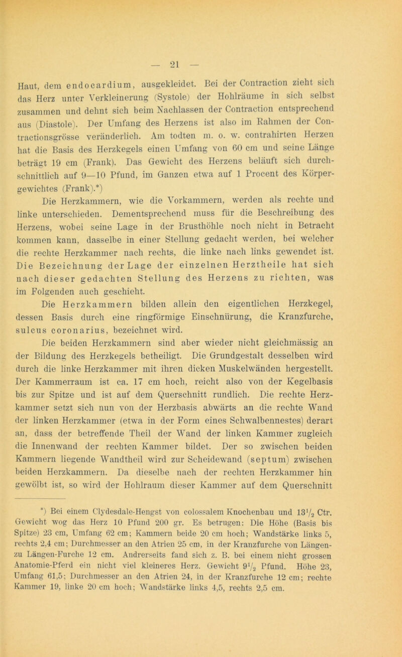 Haut, dem endocardium, ausgekleidet. Bei der Contraction zieht sich das Herz unter Verkleinerung (Systole) der Hohlräume in sich selbst zusammen und dehnt sich beim Nachlassen der Contraction entsprechend aus (Diastole). Der Umfang des Herzens ist also im Rahmen der Con- tractionsgrösse veränderlich. Am todten m. o. w. contrahirten Heizen hat die Basis des Herzkegels einen Umfang von 60 cm und seine Länge beträgt 19 cm (Frank). Das Gewicht des Herzens beläuft sich durch- schnittlich auf 9—10 Pfund, im Ganzen etwa auf 1 Procent des Körper- gewichtes (Frank).*) Die Herzkammern, wie die Vorkammern, werden als rechte und linke unterschieden. Dementsprechend muss für die Beschreibung des Herzens, wobei seine Lage in der Brusthöhle noch nicht in Betracht kommen kann, dasselbe in einer Stellung gedacht werden, bei welcher die rechte Herzkammer nach rechts, die linke nach links gewendet ist. Die Bezeichnung der Lage der einzelnen Herztheile hat sich nach dieser gedachten Stellung des Herzens zu richten, was im Folgenden auch geschieht. Die Herzkammern bilden allein den eigentlichen Herzkegel, dessen Basis durch eine ringförmige Einschnürung, die Kranzfurche, sulcus coronarius, bezeichnet wird. Die beiden Herzkammern sind aber wieder nicht gleichmässig an der Bildung des Herzkegels betheiligt. Die Grundgestalt desselben wird durch die linke Herzkammer mit ihren dicken Muskelwänden hergestellt. Der Kammerraum ist ca. 17 cm hoch, reicht also von der Kegelbasis bis zur Spitze und ist auf dem Querschnitt rundlich. Die rechte Herz- kammer setzt sich nun von der Herzbasis abwärts an die rechte Wand der linken Herzkammer (etwa in der Form eines Schwalbennestes) derart an, dass der betreffende Theil der Wand der linken Kammer zugleich die Innenwand der rechten Kammer bildet. Der so zwischen beiden Kammern liegende Wandtheil wird zur Scheidewand (septum) zwischen beiden Herzkammern. Da dieselbe nach der rechten Herzkammer hin gewölbt ist, so wird der Hohlraum dieser Kammer auf dem Querschnitt *) Bei einem Clydesdale-Hengst von colossalem Knochenbau und 13V2 Ctr. Gewicht wog das Herz 10 Pfund 200 gr. Es betrugen: Die Höhe (Basis bis Spitze) 23 cm, Umfang 62 cm; Kammern beide 20 cm hoch; Wandstärke links 5, rechts 2,4 cm; Durchmesser an den Atrien 25 cm, in der Kranzfurche von Längen- zu Längen-Furche 12 cm. Andrerseits fand sich z. B. bei einem nicht grossen Anatomie-Pferd ein nicht viel kleineres Herz. Gewicht 9Va Pfund. Höhe 23, Umfang 61,5; Durchmesser an den Atrien 24, in der Kranzfurche 12 cm; rechte Kammer 19, linke 20 cm hoch; Wandstärke links 4,5, rechts 2,5 cm.