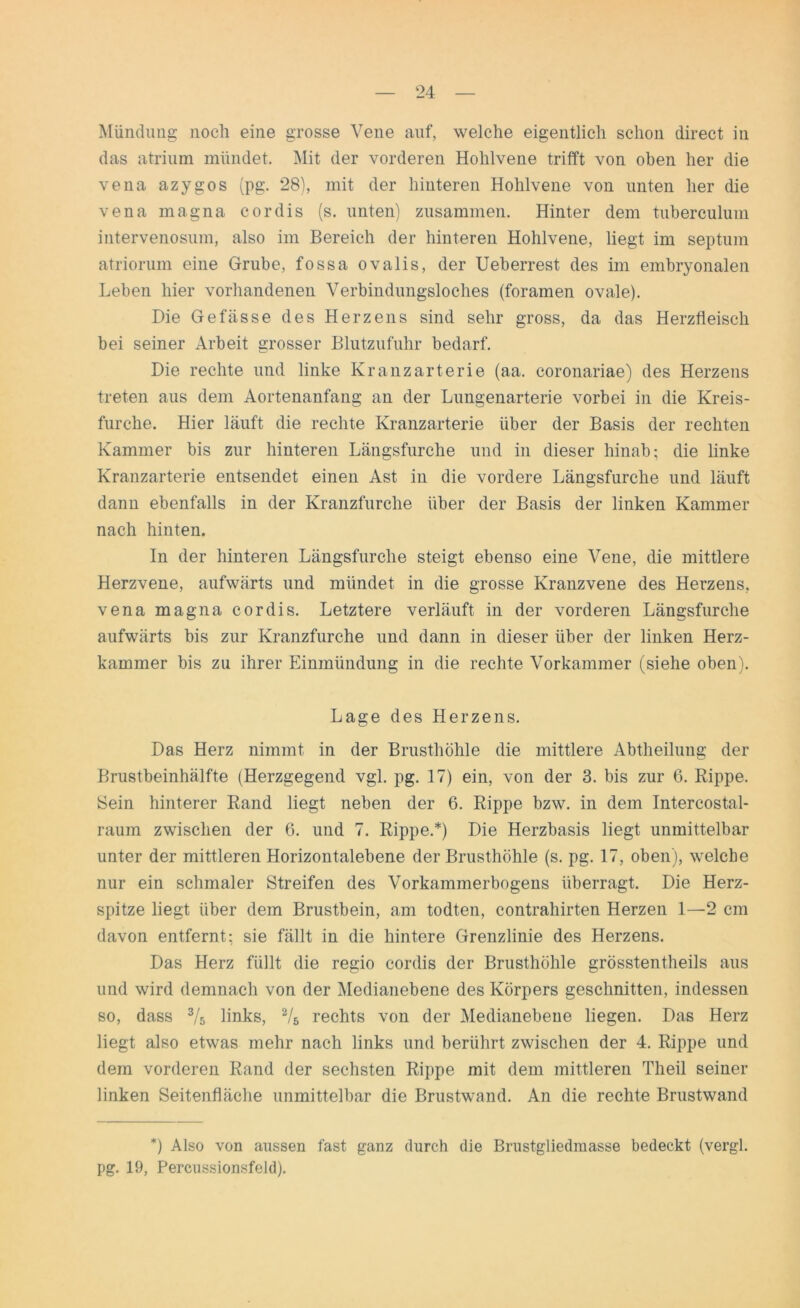 Mündung noch eine grosse Vene auf, welche eigentlich schon direct in das atrium mündet. Mit der vorderen Hohlvene trifft von oben her die vena azygos (pg. 28), mit der hinteren Hohlvene von unten her die vena magna cor dis (s. unten) zusammen. Hinter dem tuberculum intervenosum, also im Bereich der hinteren Hohlvene, liegt im septum atriorum eine Grube, fossa ovalis, der Ueberrest des im embryonalen Leben hier vorhandenen Verbindungsloches (foramen ovale). Die Gefässe des Herzens sind sehr gross, da das Herzfleisch bei seiner Arbeit grosser Blutzufuhr bedarf. Die rechte und linke Kranzarterie (aa. coronariae) des Herzens treten aus dem Aortenanfang an der Lungenarterie vorbei in die Kreis- furche. Hier läuft die rechte Kranzarterie über der Basis der rechten Kammer bis zur hinteren Längsfurche und in dieser hinab; die linke Kranzarterie entsendet einen Ast in die vordere Längsfurche und läuft dann ebenfalls in der Kranzfurche über der Basis der linken Kammer nach hinten. In der hinteren Längsfurche steigt ebenso eine Vene, die mittlere Herzvene, aufwärts und mündet in die grosse Kranzvene des Herzens, vena magna cor dis. Letztere verläuft in der vorderen Längsfurche aufwärts bis zur Kranzfurche und dann in dieser über der linken Herz- kammer bis zu ihrer Einmündung in die rechte Vorkammer (siehe oben). Lage des Herzens. Das Herz nimmt in der Brusthöhle die mittlere Abtheilung der Brustbeinhälfte (Herzgegend vgl. pg. 17) ein, von der 3. bis zur 6. Rippe. Sein hinterer Rand liegt neben der 6. Rippe bzw. in dem Intercostal- raum zwischen der 6. und 7. Rippe.*) Die Herzbasis liegt unmittelbar unter der mittleren Horizontalebene der Brusthöhle (s. pg. 17, oben), welche nur ein schmaler Streifen des Vorkammerbogens überragt. Die Herz- spitze liegt über dem Brustbein, am todten, contrahirten Herzen 1—2 cm davon entfernt; sie fällt in die hintere Grenzlinie des Herzens. Das Herz füllt die regio cordis der Brusthöhle grösstentheils aus und wird demnach von der Medianebene des Körpers geschnitten, indessen so, dass 3/5 links, 2/5 rechts von der Medianebene liegen. Das Herz liegt also etwas mehr nach links und berührt zwischen der 4. Rippe und dem vorderen Rand der sechsten Rippe mit dem mittleren Theil seiner linken Seitenfläche unmittelbar die Brustwand. An die rechte Brustwand *) Also von aussen fast ganz durch die Brustgliedmasse bedeckt (vergl. pg. 19, Percussionsfeld).