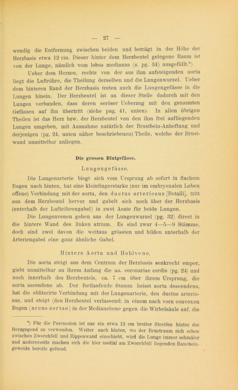 wendig die Entfernung zwischen beiden und beträgt in der Höhe der Herzbasis etwa 12 cm. Dieser hinter dem Herzbeutel gelegene Raum ist von der Lunge, nämlich vom lobus medianus (s. pg. 34) ausgefüllt.*) Ueber dem Herzen, rechts von der aus ihm aufsteigenden aorta lie°t die Luftröhre, die Theilung derselben und die Lungenwurzel. Ueber dem hinteren Rand der Herzbasis treten auch die Lungengefässe in die Lungen hinein. Der Herzbeutel ist an dieser Stelle dadurch mit den Lungen verbunden, dass deren seröser Ueberzug mit den genannten Gefässen auf ihn Übertritt (siehe pag. 41, unten). In allen übrigen Theilen ist das Herz bzw. der Herzbeutel von den ihm frei aufliegenden Lungen umgeben, mit Ausnahme natürlich der Brustbein-Anheftung und derjenigen (pg. 24, unten näher beschriebenen) Theile, welche der Brust- wand unmittelbar anliegen. Die grossen Blutgefässe. Lu ngenge fässe. Die Lungenarterie biegt sich vom Ursprung ab sofort in flachem Bogen nach hinten, hat eine kleinfingerstarke (nur im embryonalen Leben offene) Verbindung mit der aorta, den ductus arteriosus [Botalli], tritt aus dem Herzbeutel hervor und gabelt sich noch über der Herzbasis (unterhalb der Luftröhrengabel) in zwei Aeste für beide Lungen. Die Lungenvenen gehen aus der Lungenwurzel (pg. 32) direct in die hintere Wand des linken atrium. Es sind zwar 4—5—9 Stämme, doch sind zwei davon die weitaus grössten und bilden unterhalb der Arteriengabel eine ganz ähnliche Gabel. Hintere Aorta und Hohlvene. Die aorta steigt aus dem Centrum der Herzbasis senkrecht empor, giebt unmittelbar an ihrem Anfang die aa. coronariae cordis (pg. 24) und noch innerhalb des Herzbeutels, ca. 7 cm über ihrem Ursprung, die aorta ascendens ab. Der fortlaufende Stamm heisst aorta descendens, hat die obliterirte Verbindung mit der Lungenarterie, den ductus arterio- sus, und steigt (den Herzbeutel verlassend) in einem nach vorn convexen Bogen (arcus aortae) in der Medianebene gegen die Wirbelsäule auf, die *) Eür die Percussion ist nur ein etwa 12 cm breiter Streifen hinter der Herzgegend zu verwenden. Weiter nach hinten, wo der Brustraum sich schon zwischen Zwerchfell und Rippenwand einschiebt, wird die Lunge immer schmäler und andererseits machen sich die hier medial am Zwerchfell liegenden Bauchein- geweide bereits geltend.