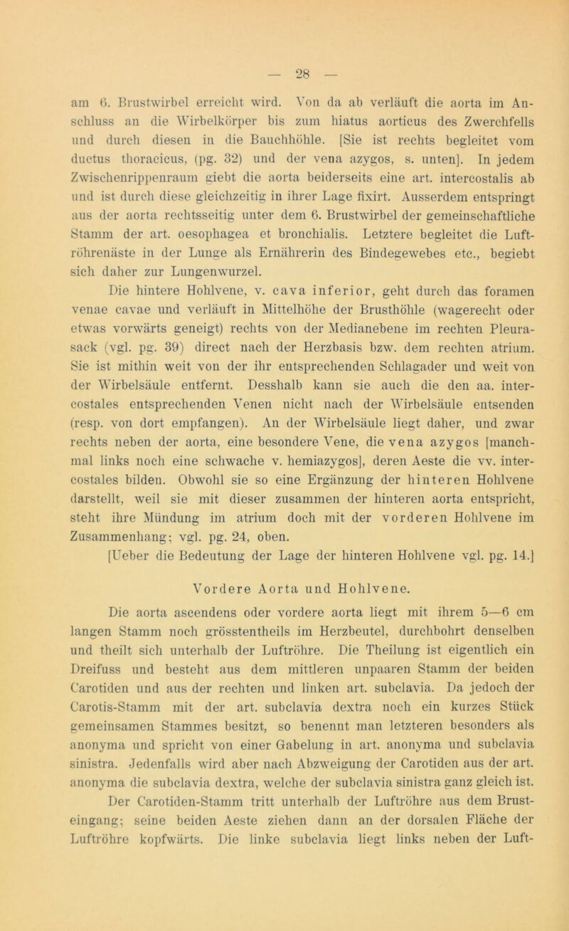 am 6. Brustwirbel erreicht wird. Von da ab verläuft die aorta im An- schluss an die Wirbelkörper bis zum hiatus aorticus des Zwerchfells und durch diesen in die Bauchhöhle. [Sie ist rechts begleitet vom ductus thoracicus, (pg. 32) und der vena azygos, s. unten]. In jedem Zwischenrippenraum giebt die aorta beiderseits eine art. intercostalis ab und ist durch diese gleichzeitig in ihrer Lage fixirt. Ausserdem entspringt aus der aorta rechtsseitig unter dem 6. Brustwirbel der gemeinschaftliche Stamm der art. oesophagea et bronchialis. Letztere begleitet die Luft- röhrenäste in der Lunge als Ernährerin des Bindegewebes etc., begiebt sich daher zur Lungenwurzel. Die hintere Hohlvene, v. cava inferior, geht durch das foramen venae cavae und verläuft in Mittelhöhe der Brusthöhle (wagerecht oder etwas vorwärts geneigt) rechts von der Medianebene im rechten Pleura- sack (vgl. pg. 39) direct nach der Herzbasis bzw. dem rechten atrium. Sie ist mithin weit von der ihr entsprechenden Schlagader und weit von der Wirbelsäule entfernt. Desshalb kann sie auch die den aa. inter- costales entsprechenden Venen nicht nach der Wirbelsäule entsenden (resp. von dort empfangen). An der Wirbelsäule liegt daher, und zwar rechts neben der aorta, eine besondere Vene, die vena azygos [manch- mal links noch eine schwache v. hemiazygos], deren Aeste die vv. inter- costales bilden. Obwohl sie so eine Ergänzung der hinteren Hohlvene darstellt, weil sie mit dieser zusammen der hinteren aorta entspricht, steht ihre Mündung im atrium doch mit der vorderen Hohlvene im Zusammenhang; vgl. pg. 24, oben. [Ueber die Bedeutung der Lage der hinteren Hohlvene vgl. pg. 14.] Vordere Aorta und Hohlvene. Die aorta ascendens oder vordere aorta liegt mit ihrem 5—6 cm langen Stamm noch grösstentheils im Herzbeutel, durchbohrt denselben und theilt sich unterhalb der Luftröhre. Die Theilung ist eigentlich ein Dreifuss und besteht aus dem mittleren unpaaren Stamm der beiden Carotiden und aus der rechten und linken art. subclavia. Da jedoch der Carotis-Stamm mit der art. subclavia dextra noch ein kurzes Stück gemeinsamen Stammes besitzt, so benennt man letzteren besonders als anonyma und spricht von einer Gabelung in art. anonyma und subclavia sinistra, Jedenfalls wird aber nach Abzweigung der Carotiden aus der art. anonyma die subclavia dextra, welche der subclavia sinistra ganz gleich ist. Der Carotiden-Stamm tritt unterhalb der Luftröhre aus dem Brust- eingang; seine beiden Aeste ziehen dann an der dorsalen Fläche der Luftröhre kopfwärts. Die linke subclavia liegt links neben der Luft-