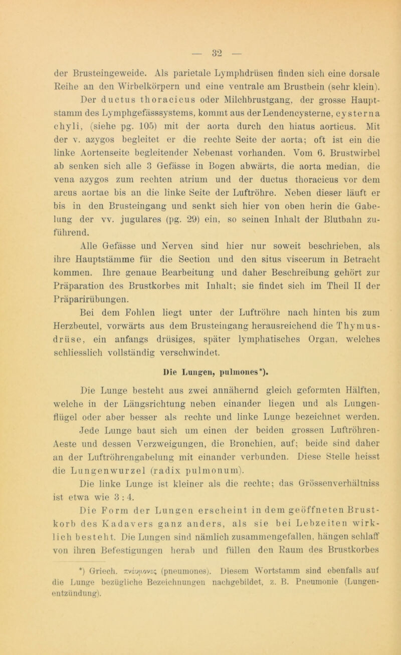 der Brusteingeweide. Als parietale Lymphdrüsen finden sich eine dorsale Reihe an den Wirbelkörpern und eine ventrale am Brustbein (sehr klein). Der ductus thoracicus oder Milchbrustgang, der grosse Haupt- stamm des Lymphgefässsystems, kommt aus derLendencysterne, cySterna chyli, (siehe pg. 105) mit der aorta durch den hiatus aorticus. Mit der v. azygos begleitet er die rechte Seite der aorta; oft ist ein die linke Aortenseite begleitender Nebenast vorhanden. Vom 0. Brustwirbel ab senken sich alle 3 Gefässe in Bogen abwärts, die aorta median, die vena azygos zum rechten atrium und der ductus thoracicus vor dem arcus aortae bis an die linke Seite der Luftröhre. Neben dieser läuft er bis in den Brusteingang und senkt sich hier von oben herin die Gabe- lung der vv. jugulares (pg. 29) ein, so seinen Inhalt der Blutbahn zu- fuhrend. Alle Gefässe und Nerven sind hier nur soweit beschrieben, als ihre Hauptstännne für die Section und den situs viscerum in Betracht kommen. Ihre genaue Bearbeitung und daher Beschreibung gehört zur Präparation des Brustkorbes mit Inhalt; sie findet sich im Tlieil II der P räp arirübungen. Bei dem Fohlen liegt unter der Luftröhre nach hinten bis zum Herzbeutel, vorwärts aus dem Brusteingang herausreichend die Thymus- drüse, ein anfangs drüsiges, später lymphatisches Organ, welches schliesslich vollständig verschwindet. Die Lungen, pulmones *)• Die Lunge besteht aus zwei annähernd gleich geformten Hälften, welche in der Längsrichtung neben einander liegen und als Lungen- flügel oder aber besser als rechte und linke Lunge bezeichnet werden. Jede Lunge baut sich um einen der beiden grossen Luftröhren- Aeste und dessen Verzweigungen, die Bronchien, auf; beide sind daher an der Luftröhrengabelung mit einander verbunden. Diese Stelle heisst die Lungenwurzel (radix pulmonum). Die linke Lunge ist kleiner als die rechte; das Grössenverhältniss ist etwa wie 3 : 4. Die Form der Lungen erscheint in dem geöffneten Brust- korb des Kadavers ganz anders, als sie bei Lebzeiten wirk- lich besteht. Die Lungen sind nämlich zusammengefallen, hängen schlaff von ihren Befestigungen herab und füllen den Raum des Brustkorbes *) Griech. (pneumones). Diesem Wortstamm sind ebenfalls auf die Lunge bezügliche Bezeichnungen nachgebildet, z. B. Pneumonie (Lungen- entzündung).