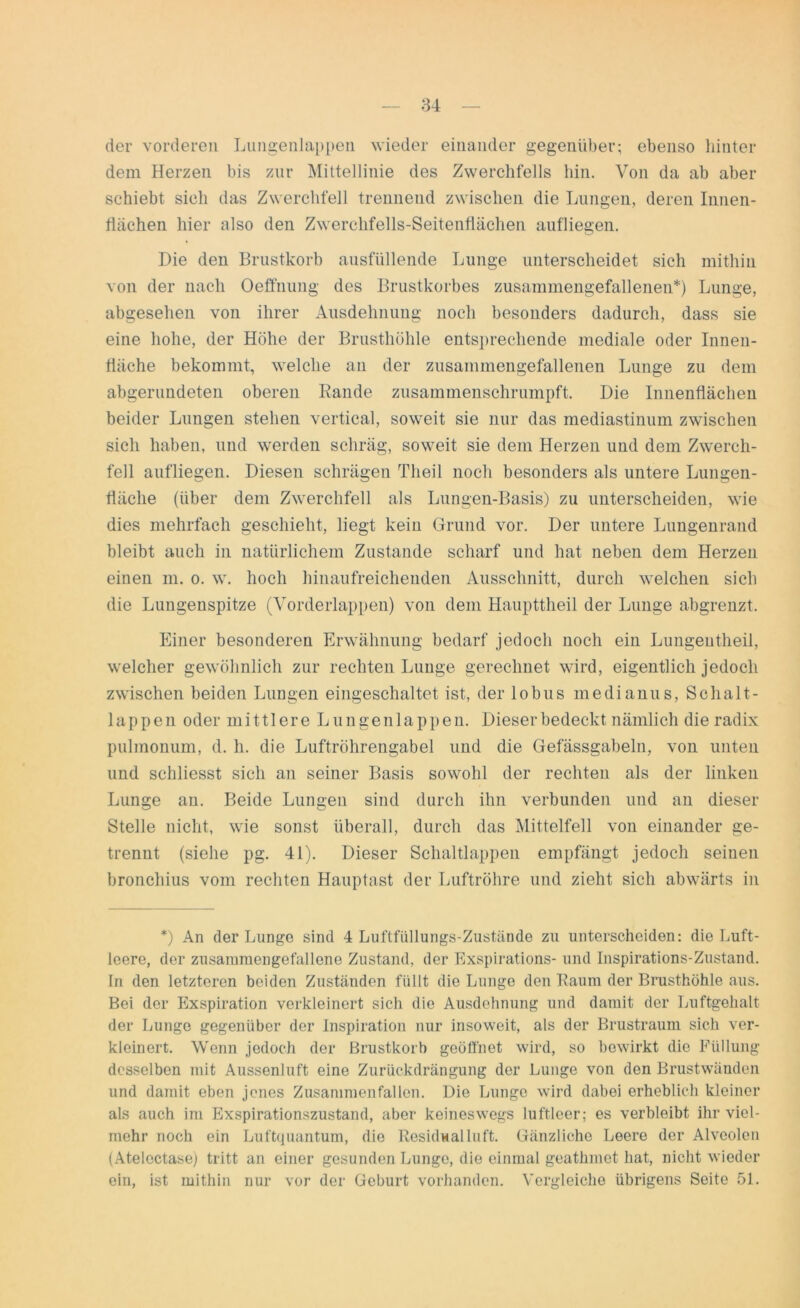 der vorderen Lungenlappen wieder einander gegenüber; ebenso hinter dem Herzen bis zur Mittellinie des Zwerchfells hin. Von da ab aber schiebt sich das Zwerchfell trennend zwischen die Lungen, deren Innen- thichen hier also den Zwerchfells-Seitentiächen aufliegen. Die den Brustkorb ausfüllende Lunge unterscheidet sich mithin von der nach Oeffnung des Brustkorbes zusammengefallenen*) Lunge, abgesehen von ihrer Ausdehnung noch besonders dadurch, dass sie eine hohe, der Höhe der Brusthöhle entsprechende mediale oder Innen- fläche bekommt, welche an der zusammengefallenen Lunge zu dem abgerundeten oberen Rande zusammenschrumpft. Die Innenflächen beider Lungen stehen vertical, soweit sie nur das mediastinum zwischen sich haben, und werden schräg, soweit sie dem Herzen und dem Zwerch- fell aufliegen. Diesen schrägen Theil noch besonders als untere Lungen- fläche (über dem Zwerchfell als Lungen-Basis) zu unterscheiden, wie dies mehrfach geschieht, liegt kein Grund vor. Der untere Lungenrand bleibt auch in natürlichem Zustande scharf und hat neben dem Herzen einen m. o. w. hoch hinaufreichenden Ausschnitt, durch welchen sich die Lungenspitze (Vorderlappen) von dem Haupttheil der Lunge abgrenzt. Einer besonderen Erwähnung bedarf jedoch noch ein Lungeutheil, welcher gewöhnlich zur rechten Lunge gerechnet wird, eigentlich jedoch zwischen beiden Lungen eingeschaltet ist, der lobus medianus, Sch alt - lappen oder mittlere Lungenlappeu. Dieser bedeckt nämlich die radix pulmonum, d. h. die Luftröhrengabel und die Gefässgabeln, von unten und schliesst sich an seiner Basis sowohl der rechten als der linken Lunge an. Beide Lungen sind durch ihn verbunden und an dieser Stelle nicht, wie sonst überall, durch das Mittelfell von einander ge- trennt (siehe pg. 41). Dieser Schaltlappen empfängt jedoch seinen bronchius vom rechten Hauptast der Luftröhre und zieht sich abwärts in *) An der Lunge sind 4 Luftfüllungs-Zustände zu unterscheiden: die Luft- leere, der zusaiumengefallene Zustand, der Exspirations- und Inspirations-Zustand. In den letzteren beiden Zuständen füllt die Lunge den Raum der Brusthöhle aus. Bei der Exspiration verkleinert sich die Ausdehnung und damit der Luftgelialt der Lunge gegenüber der Inspiration nur insoweit, als der Brustrauni sich ver- kleinert. Wenn jedoch der Brustkorb geöffnet wird, so bewirkt die Füllung desselben mit Aussenluft eine Zurückdrängung der Lunge von den Brustwänden und damit eben jenes Zusammenfallen. Die Lunge wird dabei erheblich kleiner als auch im Exspirationszustand, aber keineswegs luftleer; es verbleibt ihr viel- mehr noch ein Luftquantum, die Residualluft. Gänzliche Leere der Alveolen (Atelectase) tritt an einer gesunden Lunge, die einmal geathmet hat, nicht wieder ein, ist mithin nur vor der Geburt vorhanden. Vergleiche übrigens Seite 51.