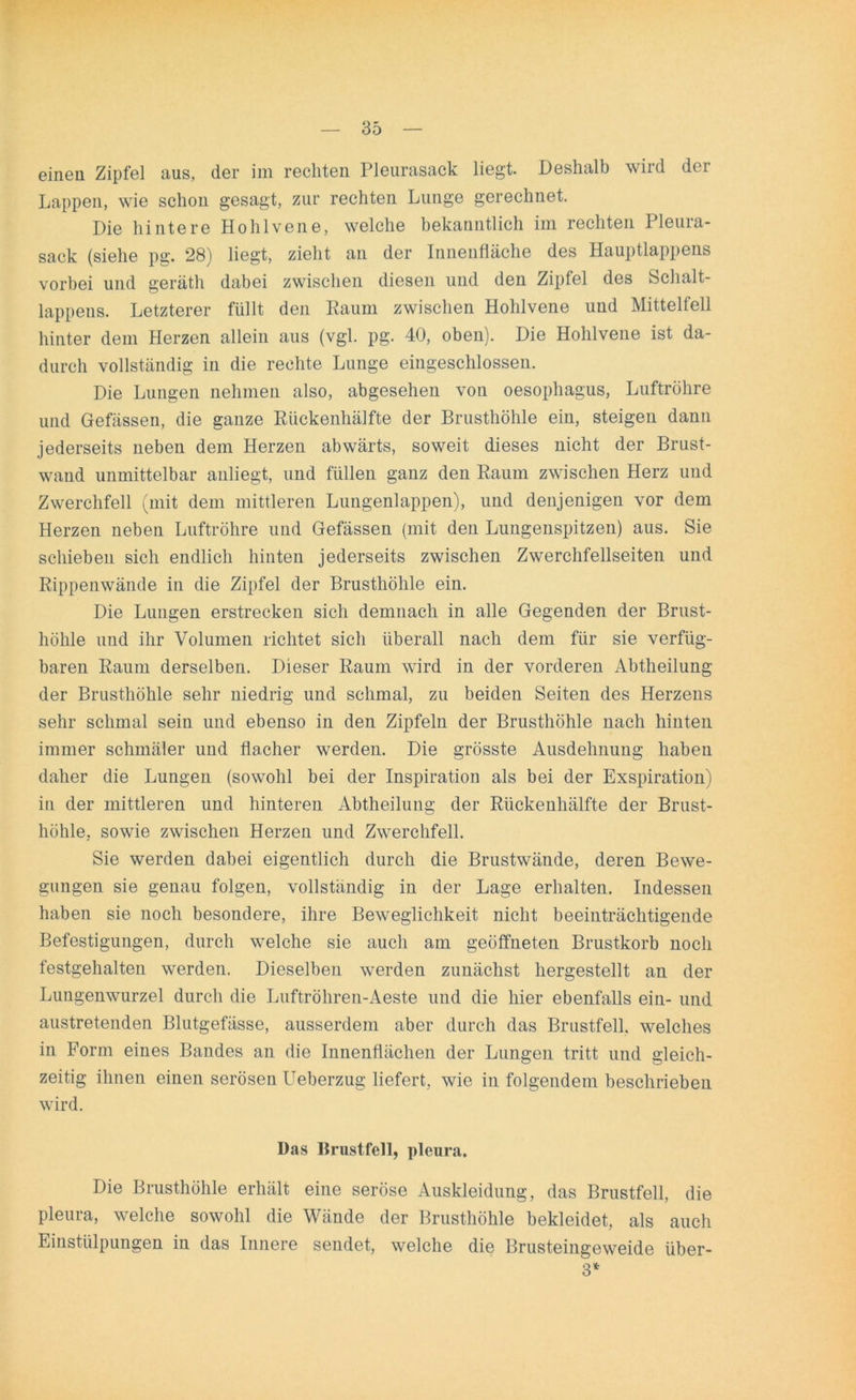 eineu Zipfel aus, der im rechten Pleurasack liegt. Deshalb wird der Lappen, wie schon gesagt, zur rechten Lunge gerechnet. Die hintere Hohlvene, welche bekanntlich im rechten Pleura- sack (siehe pg. 28) liegt, zieht an der Innenfläche des Hauptlappens vorbei und geräth dabei zwischen diesen und den Zipfel des Schalt- lappens. Letzterer füllt den Raum zwischen Hohlvene und Mittelfell hinter dem Herzen allein aus (vgl. pg. 40, oben). Die Hohlvene ist da- durch vollständig in die rechte Lunge eingeschlossen. Die Lungen nehmen also, abgesehen von oesophagus, Luftröhre und Gefässen, die ganze Rückenhälfte der Brusthöhle ein, steigen dann jederseits neben dem Herzen abwärts, soweit dieses nicht der Brust- wand unmittelbar anliegt, und füllen ganz den Raum zwischen Herz und Zwerchfell (mit dem mittleren Lungenlappen), und denjenigen vor dem Herzen neben Luftröhre und Gefässen (mit den Lungenspitzen) aus. Sie schieben sich endlich hinten jederseits zwischen Zwerchfellseiten und Rippenwände in die Zipfel der Brusthöhle ein. Die Lungen erstrecken sich demnach in alle Gegenden der Brust- höhle und ihr Volumen richtet sich überall nach dem für sie verfüg- baren Raum derselben. Dieser Raum wird in der vorderen Abtheilung der Brusthöhle sehr niedrig und schmal, zu beiden Seiten des Herzens sehr schmal sein und ebenso in den Zipfeln der Brusthöhle nach hinten immer schmäler und flacher werden. Die grösste Ausdehnung haben daher die Lungen (sowohl bei der Inspiration als bei der Exspiration) in der mittleren und hinteren Abtheilung der Rückenhälfte der Brust- höhle, sowie zwischen Herzen und Zwerchfell. Sie werden dabei eigentlich durch die Brustwände, deren Bewe- gungen sie genau folgen, vollständig in der Lage erhalten. Indessen haben sie noch besondere, ihre Beweglichkeit nicht beeinträchtigende Befestigungen, durch welche sie auch am geöffneten Brustkorb noch festgehalten werden. Dieselben werden zunächst hergestellt an der Lungenwurzel durch die Luftröhren-Aeste und die hier ebenfalls ein- und austretenden Blutgefässe, ausserdem aber durch das Brustfell, welches in Form eines Bandes an die Innenflächen der Lungen tritt und gleich- zeitig ihnen einen serösen Ueberzug liefert, wie in folgendem beschrieben wird. Das Brustfell, pleura. Die Brusthöhle erhält eine seröse Auskleidung, das Brustfell, die pleura, welche sowohl die Wände der Brusthöhle bekleidet, als auch Einstülpungen in das Innere sendet, welche die Brusteingeweide über- 3*