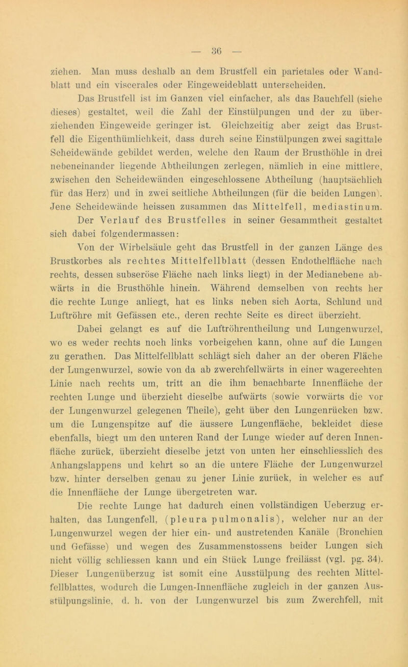 ziehen. Man muss deshalb an dem Brustfell ein parietales oder Wand- blatt und ein viscerales oder Eingeweideblatt unterscheiden. Das Brustfell ist im Ganzen viel einfacher, als das Bauchfell (siehe dieses) gestaltet, weil die Zahl der Einstülpungen und der zu über- ziehenden Eingeweide geringer ist. Gleichzeitig aber zeigt das Brust- fell die Eigenthümlichkeit, dass durch seine Einstülpungen zwei sagittale Scheidewände gebildet werden, welche den Raum der Brusthöhle in drei nebeneinander liegende Abtheilungen zerlegen, nämlich in eine mittlere, zwischen den Scheidewänden eingeschlossene Abtheilung (hauptsächlich für das Herz) und in zwei seitliche Abtheilungen (für die beiden Lungen). Jene Scheidewände heissen zusammen das Mittelfell, mediastinum. Der Verlauf des Brustfelles in seiner Gesammtheit gestaltet sich dabei folgendermassen: Von der Wirbelsäule geht das Brustfell in der ganzen Länge des Brustkorbes als rechtes Mittelfellblatt (dessen Endothelfläche nach rechts, dessen subseröse Fläche nach links liegt) in der Medianebene ab- wärts in die Brusthöhle hinein. Während demselben von rechts her die rechte Lunge anliegt, hat es links neben sich Aorta, Schlund und Luftröhre mit Gefässen etc., deren rechte Seite es direct überzieht. Dabei gelangt es auf die Luftröhrentheilung und Lungenwurzel, wo es weder rechts noch links Vorbeigehen kann, ohne auf die Lungen zu gerathen. Das Mittelfellblatt schlägt sich daher an der oberen Fläche der Lungenwurzel, sowie von da ab zwerchfellwärts in einer wagerechten Linie nach rechts um, tritt an die ihm benachbarte Innenfläche der rechten Lunge und überzieht dieselbe aufwärts (sowie vorwärts die vor der Lungenwurzel gelegenen Theile), geht über den Lungenrücken bzw. um die Lungenspitze auf die äussere Lungenfläche, bekleidet diese ebenfalls, biegt um den unteren Rand der Lunge wieder auf deren Innen- fläche zurück, überzieht dieselbe jetzt von unten her einschliesslich des Anhangslappens und kehrt so an die untere Fläche der Lungenwurzel bzw. hinter derselben genau zu jener Linie zurück, in welcher es auf die Innenfläche der Lunge übergetreten war. Die rechte Lunge hat dadurch einen vollständigen Ueberzug er- halten, das Lungenfell, (pleura pulmonalis), welcher nur an der Lungenwurzel wegen der hier ein- und austretenden Kanäle (Bronchien und Gefässe) und wegen des Zusammenstossens beider Lungen sich nicht völlig schliessen kann und ein Stück Lunge freilässt (vgl. pg. 34). Dieser Lungenüberzug ist somit eine Ausstülpung des rechten Mittel- fellblattes, wodurch die Lungen-Innenfläche zugleich in der ganzen Aus- stülpungslinie, d. h. von der Lungenwurzel bis zum Zwerchfell, mit