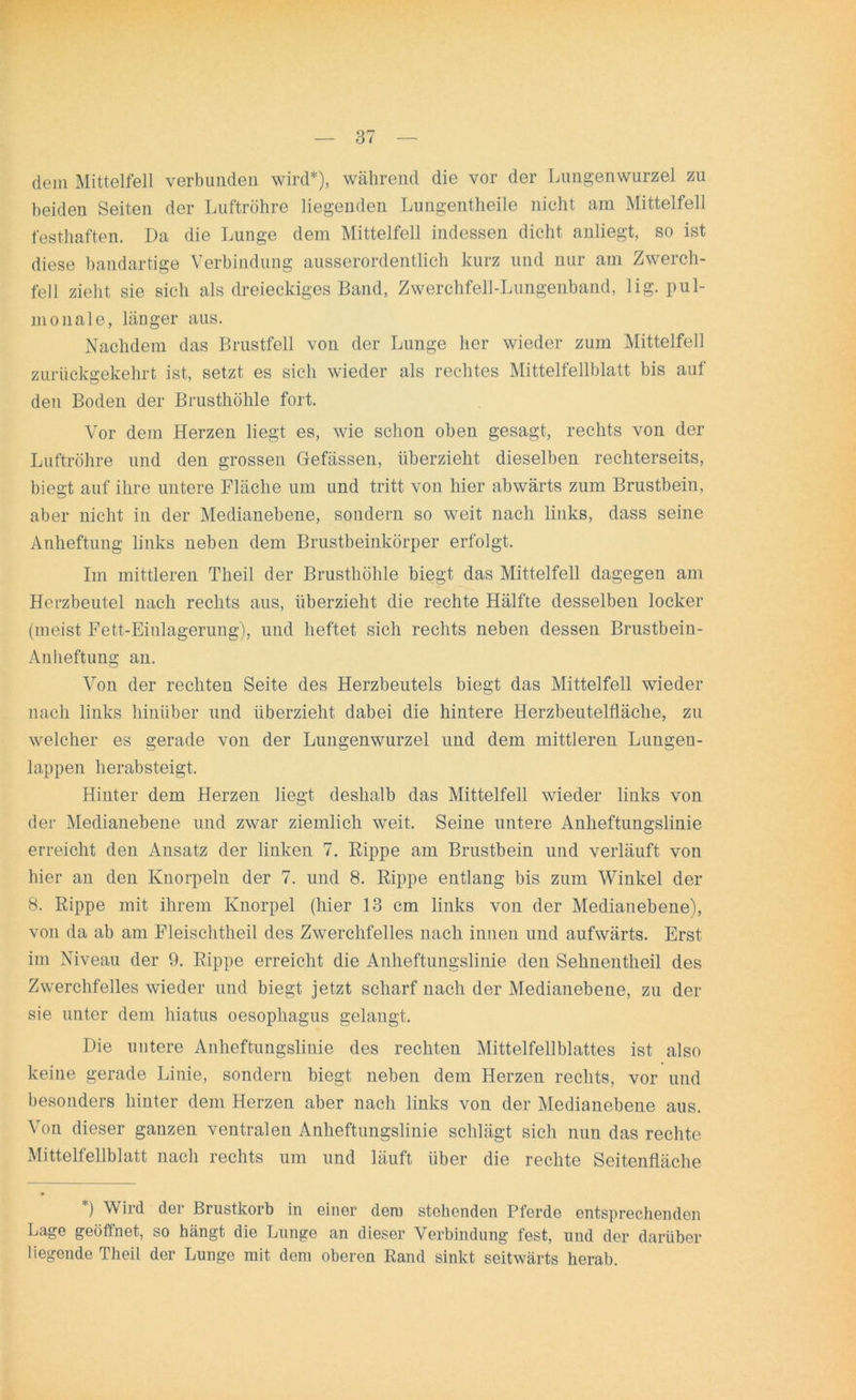 dem Mittelfell verbunden wird*), während die vor der Lungenwurzel zu beiden Seiten der Luftröhre liegenden Lungentheile nicht am Mittelfell festhaften. Da die Lunge dem Mittelfell indessen dicht anliegt, so ist diese bandartige Verbindung ausserordentlich kurz und nur am Zwerch- fell zieht sie sich als dreieckiges Band, Zwerchfell-Lungenband, lig. pul- monale, länger aus. Nachdem das Brustfell von der Lunge her wieder zum Mittelfell zurückgekehrt ist, setzt es sich wieder als rechtes Mittelfellblatt bis auf den Boden der Brusthöhle fort. Vor dem Herzen liegt es, wie schon oben gesagt, rechts von der Luftröhre und den grossen Gefässen, überzieht dieselben rechterseits, biegt auf ihre untere Fläche um und tritt von hier abwärts zum Brustbein, aber nicht in der Medianebene, sondern so weit nach links, dass seine Anheftung links neben dem Brustbeinkörper erfolgt. Im mittleren Theil der Brusthöhle biegt das Mittelfell dagegen am Herzbeutel nach rechts aus, überzieht die rechte Hälfte desselben locker (meist Fett-Einlagerung), und heftet sich rechts neben dessen Brustbein- Anheftung an. Von der rechten Seite des Herzbeutels biegt das Mittelfell wieder nach links hinüber und überzieht dabei die hintere Herzbeutelfläche, zu welcher es gerade von der Lungenwurzel und dem mittleren Lungen- lappen herabsteigt. Hinter dem Herzen liegt deshalb das Mittelfell wieder links von der Medianebene und zwar ziemlich weit. Seine untere Anheftungslinie erreicht den Ansatz der linken 7. Rippe am Brustbein und verläuft von hier an den Knorpeln der 7. und 8. Rippe entlang bis zum Winkel der 8. Rippe mit ihrem Knorpel (hier 13 cm links von der Medianebene), von da ab am Fleischtheil des Zwerchfelles nach innen und aufwärts. Erst im Niveau der 9. Rippe erreicht die Anheftungslinie den Sehnentheil des Zwerchfelles wieder und biegt jetzt scharf nach der Medianebene, zu der sie unter dem liiatus oesophagus gelangt. Die untere Anheftungslinie des rechten Mittelfellblattes ist also keine gerade Linie, sondern biegt neben dem Herzen rechts, vor und besonders hinter dem Herzen aber nach links von der Medianebene aus. Von dieser ganzen ventralen Anheftungslinie schlägt sich nun das rechte Mittelfellblatt nach rechts um und läuft über die rechte Seitenfläche *) Wird der Brustkorb in einer dem stehenden Pferde entsprechenden Lage geöffnet, so hängt die Lunge an dieser Verbindung fest, und der darüber liegende Theil der Lunge mit dem oberen Rand sinkt seitwärts herab.