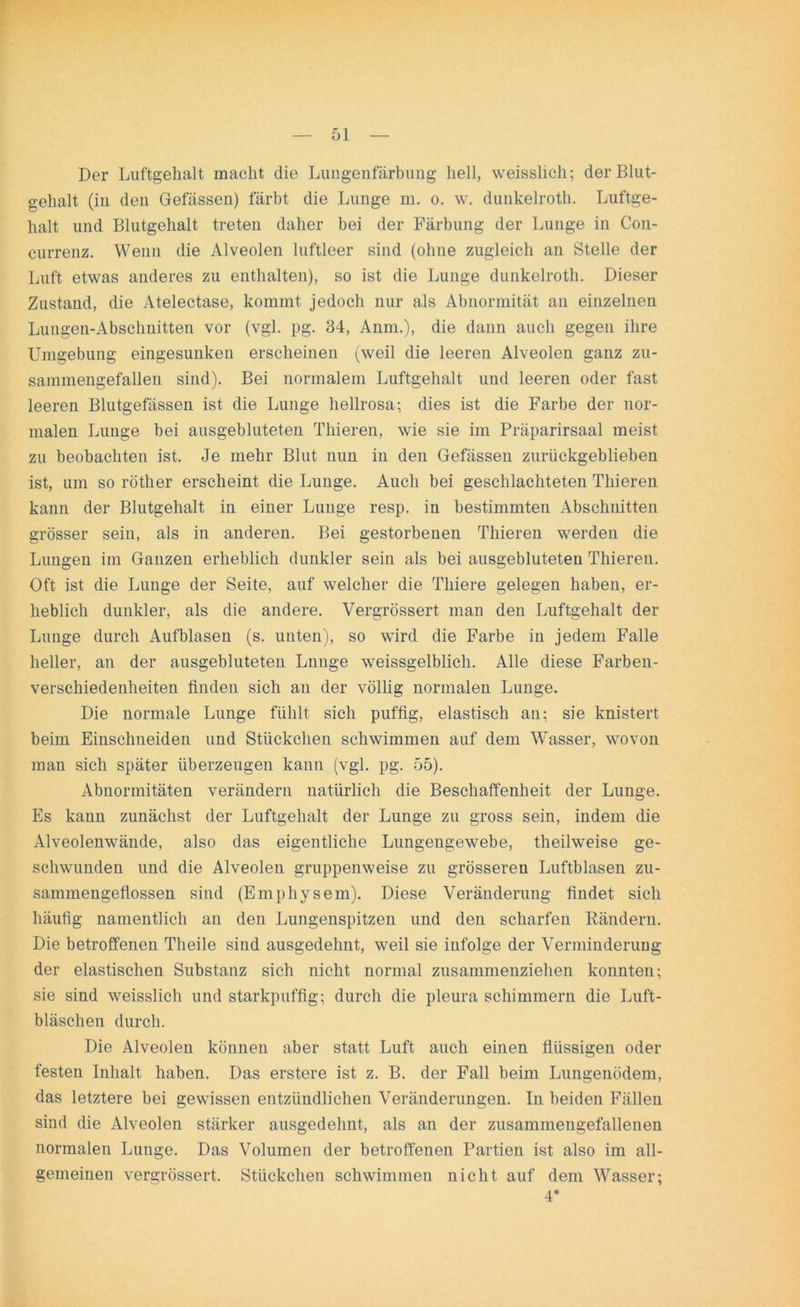 Der Luftgehalt macht die Lungenfärbung hell, weisslich; der Blut- gehalt (in den Gefässen) färbt die Lunge m. o. w. dunkelroth. Luftge- halt und Blutgehalt treten daher bei der Färbung der Lunge in Con- currenz. Wenn die Alveolen luftleer sind (ohne zugleich an Stelle der Luft etwas anderes zu enthalten), so ist die Lunge dunkelroth. Dieser Zustand, die Atelectase, kommt jedoch nur als Abnormität an einzelnen Lungen-Abschnitten vor (vgl. pg. 34, Anm.), die dann auch gegen ihre Umgebung eingesunken erscheinen (weil die leeren Alveolen ganz zu- sammengefallen sind). Bei normalem Luftgehalt und leeren oder fast leeren Blutgefässen ist die Lunge hellrosa; dies ist die Farbe der nor- malen Lunge bei ausgebluteten Thieren, wie sie im Präparirsaal meist zu beobachten ist. Je mehr Blut nun in den Gefässen zurückgeblieben ist, um so röther erscheint die Lunge. Auch bei geschlachteten Thieren kann der Blutgehalt in einer Lunge resp. in bestimmten Abschnitten grösser sein, als in anderen. Bei gestorbenen Thieren werden die Lungen im Ganzen erheblich dunkler sein als bei ausgebluteteu Thieren. Oft ist die Lunge der Seite, auf welcher die Tliiere gelegen haben, er- heblich dunkler, als die andere. Vergrössert man den Luftgehalt der Lunge durch Aufblasen (s. unten), so wird die Farbe iii jedem Falle heller, an der ausgebluteten Lunge weissgelblich. Alle diese Farben- verschiedenheiten finden sich an der völlig normalen Lunge. Die normale Lunge fühlt sich puffig, elastisch an; sie knistert beim Einschneiden und Stückchen schwimmen auf dem Wasser, wovon man sich später überzeugen kann (vgl. pg. 55). Abnormitäten verändern natürlich die Beschaffenheit der Lunge. Es kann zunächst der Luftgehalt der Lunge zu gross sein, indem die Alveolenwände, also das eigentliche Lungengewebe, theilweise ge- schwunden und die Alveolen gruppenweise zu grösseren Luftblasen zu- sammengeflossen sind (Emphysem). Diese Veränderung findet sich häufig namentlich an den Lungenspitzen und den scharfen Rändern. Die betroffenen Theile sind ausgedehnt, weil sie infolge der Verminderung der elastischen Substanz sich nicht normal zusammenziehen konnten; sie sind weisslich und starkpuffig; durch die pleura schimmern die Luft- bläschen durch. Die Alveolen können aber statt Luft auch einen flüssigen oder festen Inhalt haben. Das erstere ist z. B. der Fall beim Lungenödem, das letztere bei gewissen entzündlichen Veränderungen. In beiden Fällen sind die Alveolen stärker ausgedehnt, als an der zusammengefallenen normalen Lunge. Das Volumen der betroffenen Partien ist also im all- gemeinen vergrössert. Stückchen schwimmen nicht auf dem Wasser; 4*