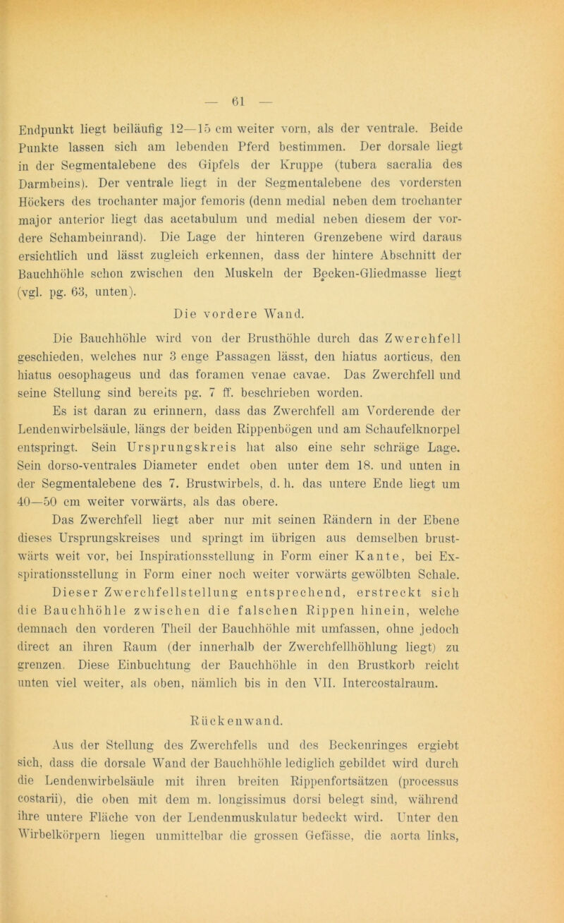 Endpunkt liegt beiläufig 12—15 cm weiter vorn, als der ventrale. Beide Punkte lassen sich am lebenden Pferd bestimmen. Der dorsale liegt in der Segmentalebene des Gipfels der Kruppe (tubera sacralia des Darmbeins). Der ventrale liegt in der Segmentalebene des vordersten Höckers des trochanter major femoris (denn medial neben dem trochanter major anterior liegt das acetabulum und medial neben diesem der vor- dere Schambeinrand). Die Lage der hinteren Grenzebene wird daraus ersichtlich und lässt zugleich erkennen, dass der hintere Abschnitt der Bauchhöhle schon zwischen den Muskeln der Becken-Gliedmasse liegt (vgl. pg. 63, unten). Die vordere Wand. Die Bauchhöhle wird von der Brusthöhle durch das Zwerchfell geschieden, welches nur 3 enge Passagen lässt, den hiatus aorticus, den hiatus oesophageus und das foramen venae cavae. Das Zwerchfell und seine Stellung sind bereits pg. 7 ff. beschrieben worden. Es ist daran zu erinnern, dass das Zwerchfell am Vorderende der Lendenwirbelsäule, längs der beiden Rippenbögen und am Schaufelknorpel entspringt. Sein Ursprungskreis hat also eine sehr schräge Lage. Sein dorso-ventrales Diameter endet oben unter dem 18. und unten in der Segmentalebene des 7. Brustwirbels, d. h. das untere Ende liegt um 40—50 cm weiter vorwärts, als das obere. Das Zwerchfell liegt aber nur mit seinen Rändern in der Ebene dieses Ursprungskreises und springt im übrigen aus demselben brust- wärts weit vor, bei Inspirationsstellung in Form einer Kante, bei Ex- spirationsstellung in Form einer noch weiter vorwärts gewölbten Schale. Dieser Zwerchfellstellung entsprechend, erstreckt sich die Bauchhöhle zwischen die falschen Rippen hinein, welche demnach den vorderen Theil der Bauchhöhle mit umfassen, ohne jedoch direct an ihren Raum (der innerhalb der Zwerchfellhöhlung liegt) zu grenzen, Diese Einbuchtung der Bauchhöhle in den Brustkorb reicht unten viel weiter, als oben, nämlich bis in den VII. Intercostalraum. Rück en wand. Aus der Stellung des Zwerchfells und des Beckenringes ergiebt sich, dass die dorsale Wand der Bauchhöhle lediglich gebildet wird durch die Lendenwirbelsäule mit ihren breiten Rippenfortsätzen (processus costarii), die oben mit dem m. longissimus dorsi belegt sind, während ihre untere Fläche von der Lendenmuskulatur bedeckt wird. Unter den Wirbelkörpern liegen unmittelbar die grossen Gefässe, die aorta links,