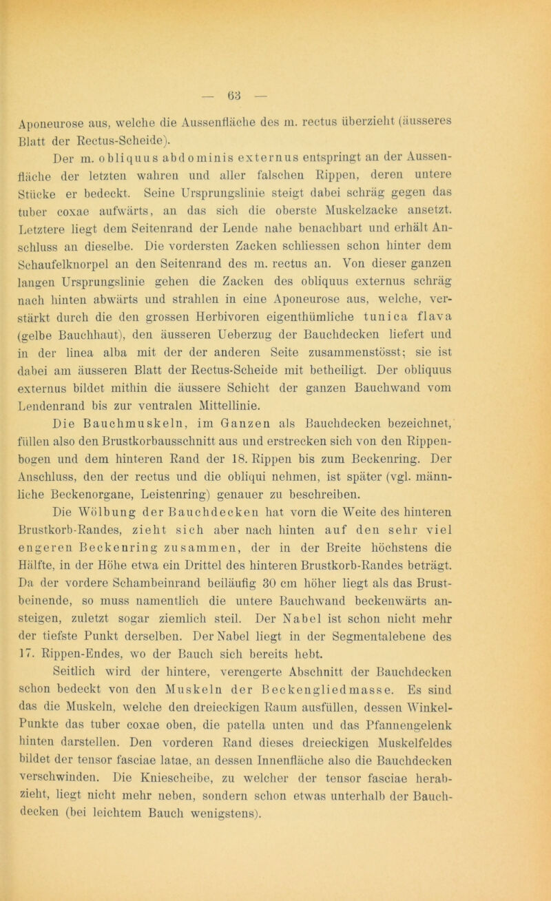 Aponeurose aus, welche die Aussenfiäche des m. rectus überzielit (äusseres Blatt der Rectus-Scheide). Der m. obliquus abdominis externus entspringt an der Äussen- tläclie der letzten wahren und aller falschen Rippen, deren untere Stücke er bedeckt. Seine Ursprungslinie steigt dabei schräg gegen das tuber coxae aufwärts, an das sich die oberste Muskelzacke ansetzt. Letztere liegt dem Seitenrand der Lende nahe benachbart und erhält An- schluss an dieselbe. Die vordersten Zacken schliessen schon hinter dem Schaufelknorpel an den Seitenrand des m. rectus an. Von dieser ganzen langen Ursprungslinie gehen die Zacken des obliquus externus schräg nach hinten abwärts und strahlen in eine Aponeurose aus, welche, ver- stärkt durch die den grossen Herbivoren eigenthümliche tuni ca flava (gelbe Bauchhaut), den äusseren Ueberzug der Bauchdecken liefert und in der linea alba mit der der anderen Seite zusammenstösst; sie ist dabei am äusseren Blatt der Rectus-Scheide mit betheiligt. Der obliquus externus bildet mithin die äussere Schicht der ganzen Bauchwand vom Lendenrand bis zur ventralen Mittellinie. Die Bauchmuskeln, im Ganzen als Bauchdecken bezeichnet, füllen also den Brustkorbausschnitt aus und erstrecken sich von den Rippen- bogen und dem hinteren Rand der 18. Rippen bis zum Beckenring. Der Anschluss, den der rectus und die obliqui nehmen, ist später (vgl. männ- liche Beckenorgane, Leistenring) genauer zu beschreiben. Die Wölbung der Bauch decken hat vorn die Weite des hinteren Brustkorb-Randes, zieht sich aber nach hinten auf den sehr viel engeren Beckenring zusammen, der in der Breite höchstens die Hälfte, in der Höhe etwa ein Drittel des hinteren Brustkorb-Randes beträgt. Da der vordere Schambeinrand beiläufig 30 cm höher liegt als das Brust- beinende, so muss namentlich die untere Bauchwand beckenwärts an- steigen, zuletzt sogar ziemlich steil. Der Nabel ist schon nicht mehr der tiefste Punkt derselben. Der Nabel liegt in der Segmentalebene des 17. Rippen-Endes, wo der Bauch sich bereits hebt. Seitlich wird der hintere, verengerte Abschnitt der Bauchdecken schon bedeckt von den Muskeln der Beckengliedmasse. Es sind das die Muskeln, welche den dreieckigen Raum ausfüllen, dessen Winkel- Punkte das tuber coxae oben, die patella unten und das Pfannengelenk hinten darstellen. Den vorderen Rand dieses dreieckigen Muskelfeldes bildet der tensor fasciae latae, an dessen Innenfläche also die Bauchdecken verschwinden. Die Kniescheibe, zu welcher der tensor fasciae herab- zieht, liegt nicht mehr neben, sondern schon etwas unterhalb der Bauch- decken (bei leichtem Bauch wenigstens).