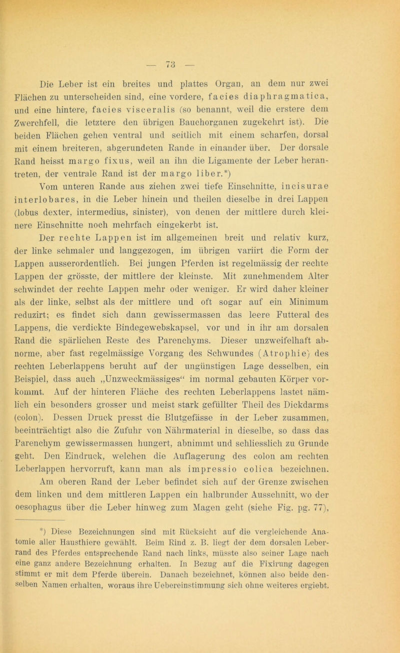 Die Leber ist ein breites und plattes Organ, an dem nur zwei Flächen zu unterscheiden sind, eine vordere, f'acies diaphragmatica, und eine hintere, facies visceralis (so benannt, weil die erstere dem Zwerchfell, die letztere den übrigen Bauchorganen zugekehrt ist). Die beiden Flächen gehen ventral und seitlich mit einem scharfen, dorsal mit einem breiteren, abgerundeten Rande in einander über. Der dorsale Rand heisst margo fixus, weil an ihn die Ligamente der Leber heran- treten, der ventrale Rand ist der margo über.*) Vom unteren Rande aus ziehen zwei tiefe Einschnitte, incisurae interlobares, in die Leber hinein und theilen dieselbe in drei Lappen (lobus dexter, intermedius, sinister), von denen der mittlere durch klei- nere Einschnitte noch mehrfach eingekerbt ist. Der rechte Lappen ist im allgemeinen breit und relativ kurz, der linke schmaler und langgezogen, im übrigen variirt die Form der Lappen ausserordentlich. Bei jungen Pferden ist regelmässig der rechte Lappen der grösste, der mittlere der kleinste. Mit zunehmendem Alter schwindet der rechte Lappen mehr oder weniger. Er wird daher kleiner als der linke, selbst als der mittlere und oft sogar auf ein Minimum reduzirt; es findet sich dann gewissermassen das leere Futteral des Lappens, die verdickte Bindegewebskapsel, vor und in ihr am dorsalen Rand die spärlichen Reste des Parenchyms. Dieser unzweifelhaft ab- norme, aber fast regelmässige Vorgang des Schwundes (Atrophie) des rechten Leberlappens beruht auf der ungünstigen Lage desselben, ein Beispiel, dass auch „Unzweckmässiges“ im normal gebauten Körper vor- kommt. Auf der hinteren Fläche des rechten Leberlappens lastet näm- lich ein besonders grosser und meist stark gefüllter Theil des Dickdarms (colon). Dessen Druck presst die Blutgefässe in der Leber zusammen, beeinträchtigt also die Zufuhr von Nährmaterial in dieselbe, so dass das Parenchym gewissermassen hungert, abnimmt und schliesslich zu Grunde geht. Den Eindruck, welchen die Auflagerung des colon am rechten Leberlappen hervorruft, kann man als impress io coli ca bezeichnen. Am oberen Rand der Leber befindet sich auf der Grenze zwischen dem linken und dem mittleren Lappen ein halbrunder Ausschnitt, wo der oesophagus über die Leber hinweg zum Magen geht (siehe Fig. pg. 77), *) Diese Bezeichnungen sind mit Rücksicht auf die vergleichende Ana- tomie aller Hausthiere gewählt. Beim Rind z. B. liegt der dem dorsalen Leber- rand des Pferdes entsprechende Rand nach links, müsste also seiner Lage nach eine ganz andere Bezeichnung erhalten. In Bezug auf die Fixirung dagegen stimmt er mit dem Pferde überein. Danach bezeichnet, können also beide den- selben Namen erhalten, woraus ihre Uebereinstimmung sich ohne weiteres ergiebt.