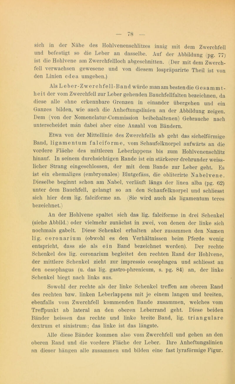 sich in der Nähe des Hohlvenenschlitzes innig mit dem Zwerchfell und befestigt so die Leber an dasselbe. Auf der Abbildung (pg. 77) ist die Hohlvene am Zwerchfellloch abgeschnitten. Der mit dem Zwerch- fell verwachsen gewesene und von diesem lospräparirte Theil ist von den Linien cdea umgeben.) Als Leber-Zwerchfell-Band würde man am besten die G e s a m m t - heit der vom Zwerchfell zur Leber gehenden Bauchfellfalten bezeichnen, da diese alle ohne erkennbare Grenzen in einander übergehen und ein Ganzes bilden, wie auch die Anheftungslinien an der Abbildung zeigen. Dem (von der Nomenclatur-Commission beibehaltenen) Gebrauche nach unterscheidet man dabei aber eine Anzahl von Bändern. Etwa von der Mittellinie des Zwerchfells ab geht das sichelförmige Band, ligamentum falciforme, vom Schaufelknorpel aufwärts an die vordere Fläche des mittleren Leberlappens bis zum Hohlvenenschlitz hinauf. In seinem durchsichtigen Rande ist ein stärkerer drehrunder weiss- licher Strang eingeschlossen, der mit dem Bande zur Leber geht. Es ist ein ehemaliges (embryonales) Blutgefäss, die obliterirte Nabelvene. Dieselbe beginnt schon am Nabel, verläuft längs der linea alba (pg. 62) unter dem Bauchfell, gelangt so an den Schaufelknorpel und scliliesst sich hier dem lig. falciforme an. (Sie wird auch als ligamentum teres bezeichnet.) An der Hohlvene spaltet sich das lig. falciforme in drei Schenkel (siehe Abbild.) oder vielmehr zunächst in zwei, von denen der linke sich nochmals gabelt. Diese Schenkel erhalten aber zusammen den Namen lig. coronarium (obwohl es den Verhältnissen beim Pferde wenig entspricht, dass sie als ein Band bezeichnet werden). Der rechte Schenkel des lig. coronarium begleitet den rechten Rand der Hohlvene, der mittlere Schenkel zieht zur impressio oesophagea und scliliesst an den oesophagus (u. das lig. gastro-phrenicum, s. pg. 84) an, der linke Schenkel biegt nach links aus. Sowohl der rechte als der linke Schenkel treffen am oberen Rand des rechten bzw. linken Leberlappens mit je einem langen und breiten, ebenfalls vom Zwerchfell kommenden Bande zusammen, welches vom Treffpunkt ab lateral an den oberen Leberrand geht. Diese beiden Bänder heissen das rechte und linke breite Band, lig. trianguläre dextruin et sinistrum; das linke ist das längste. Alle diese Bänder kommen also vom Zwerchfell und gehen an den oberen Rand und die vordere Fläche der Leber. Ihre Anheftungslinien an dieser hängen alle zusammen und bilden eine fast lyraförmige Figur.
