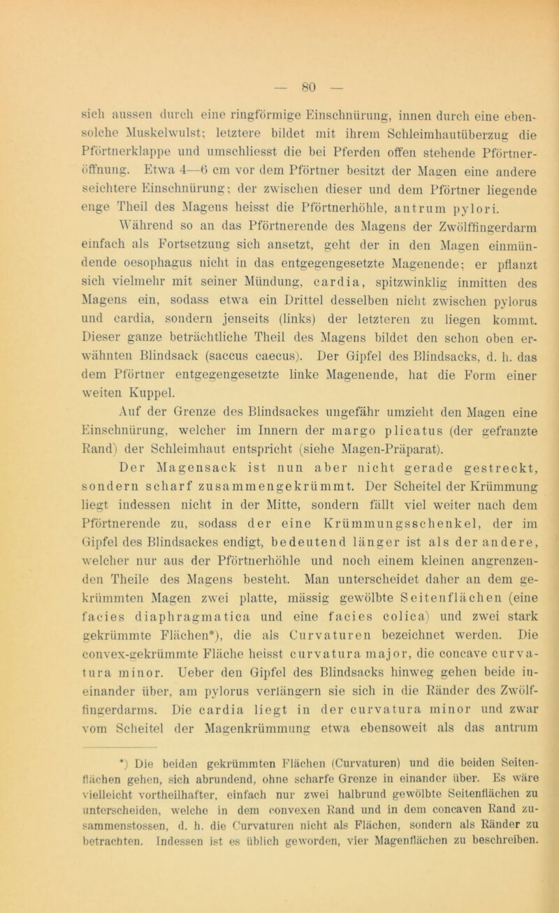 sich aussen durch eine ringförmige Einschnürung, innen durch eine eben- solche Muskelwulst; letztere bildet mit ihrem Schleimhautüberzug die Pförtnerklappe und umschliesst die bei Pferden offen stehende Pförtner- öffnung. Etwa 4—6 cm vor dem Pförtner besitzt der Magen eine andere seichtere Einschnürung; der zwischen dieser und dem Pförtner liegende enge Theil des Magens heisst die Pförtnerhöhle, antrum pylori. Während so an das Pförtnerende des Magens der Zwölffingerdarm einfach als Fortsetzung sich ansetzt, geht der in den Magen einmün- dende oesophagus nicht in das entgegengesetzte Magenende; er pflanzt sich vielmehr mit seiner Mündung, cardia, spitzwinklig inmitten des Magens ein, sodass etwa ein Drittel desselben nicht zwischen pylorus und cardia, sondern jenseits (links) der letzteren zu liegen kommt. Dieser ganze beträchtliche Theil des Magens bildet den schon oben er- wähnten Blindsack (saccus caecus). Der Gipfel des Blindsacks, d. h. das dem Pförtner entgegengesetzte linke Magenende, hat die Form einer weiten Kuppel. Auf der Grenze des Blindsackes ungefähr umzieht den Magen eine Einschnürung, welcher im Innern der margo plicatus (der gefranzte Rand) der Schleimhaut entspricht (siehe Magen-Präparat). Der Magensack ist nun aber nicht gerade gestreckt, sondern scharf zusammengekrümmt. Der Scheitel der Krümmung liegt indessen nicht in der Mitte, sondern fällt viel weiter nach dem Pförtnerende zu, sodass der eine Krümmungsschenkel, der im Gipfel des Blindsackes endigt, bedeutend länger ist als der andere, welcher nur aus der Pförtnerhöhle und noch einem kleinen angrenzen- den Theile des Magens besteht. Man unterscheidet daher an dem ge- krümmten Magen zwei platte, mässig gewölbte Seitenflächen (eine facies diaphragmatica und eine facies colica) und zwei stark gekrümmte Flächen*), die als Curvaturen bezeichnet werden. Die convex-gekrümmte Fläche heisst curvatura major, die concave curva- tura minor. Ueber den Gipfel des Blindsacks hinweg gehen beide in- einander über, am pylorus verlängern sie sich in die Ränder des Zwölf- fingerdarms. Die cardia liegt in der curvatura minor und zwar vom Scheitel der Magenkrümmung etwa ebensoweit als das antrum *) Die beiden gekrümmten Flächen (Curvaturen) und die beiden Seiten- flächen gehen, sich abrundend, ohne scharfe Grenze in einander über. Es wäre vielleicht vortheilhafter. einfach nur zwei halbrund gewölbte Seitenflächen zu unterscheiden, welche in dem convexen Rand und in dem concaven Rand zu- sammenstossen, d. h. die Curvaturen nicht als Flächen, sondern als Ränder zu betrachten. Indessen ist es üblich geworden, vier Magenflächen zu beschreiben.